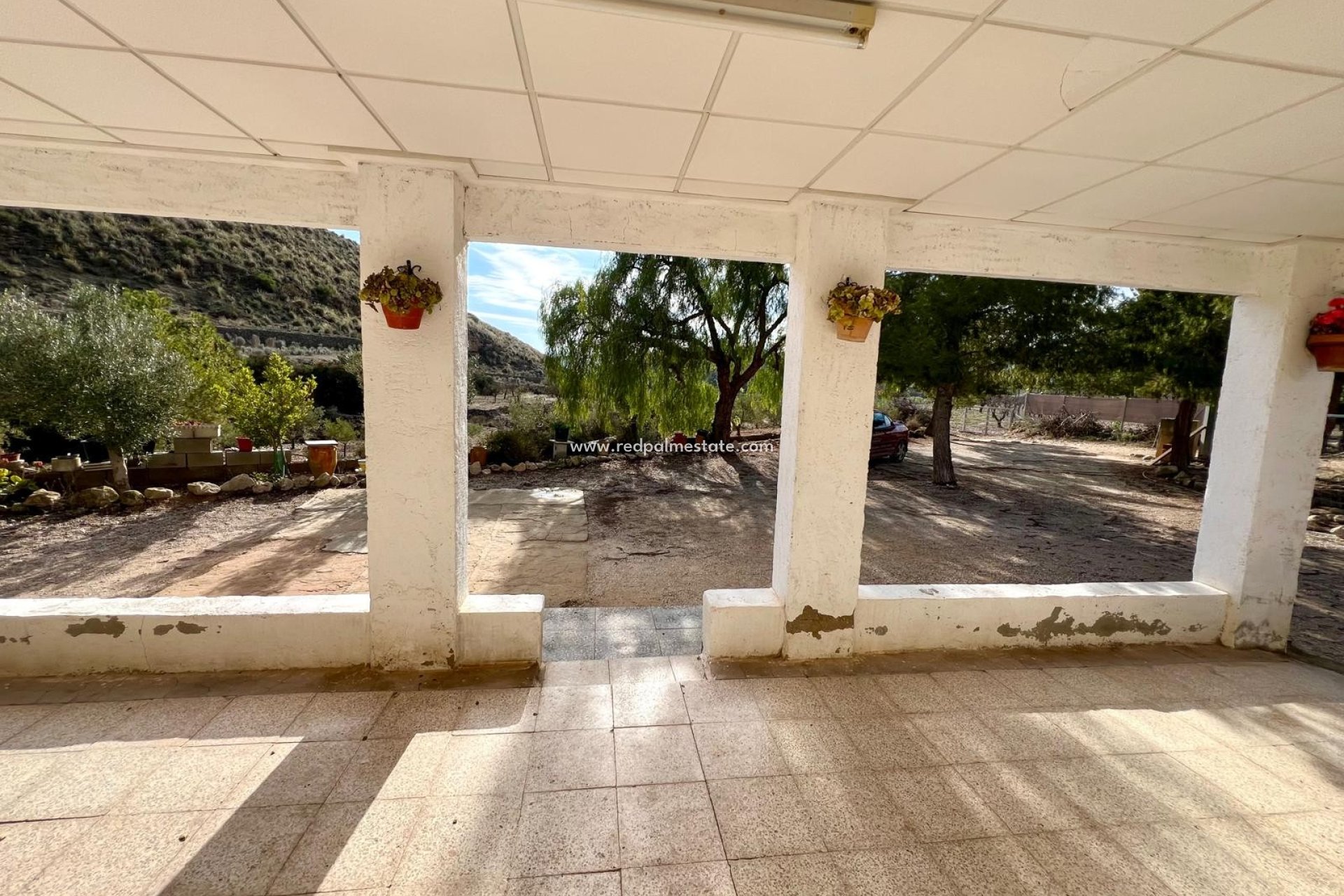 Resale - Finca / Country Property -
Monóvar/Monóver - Inland