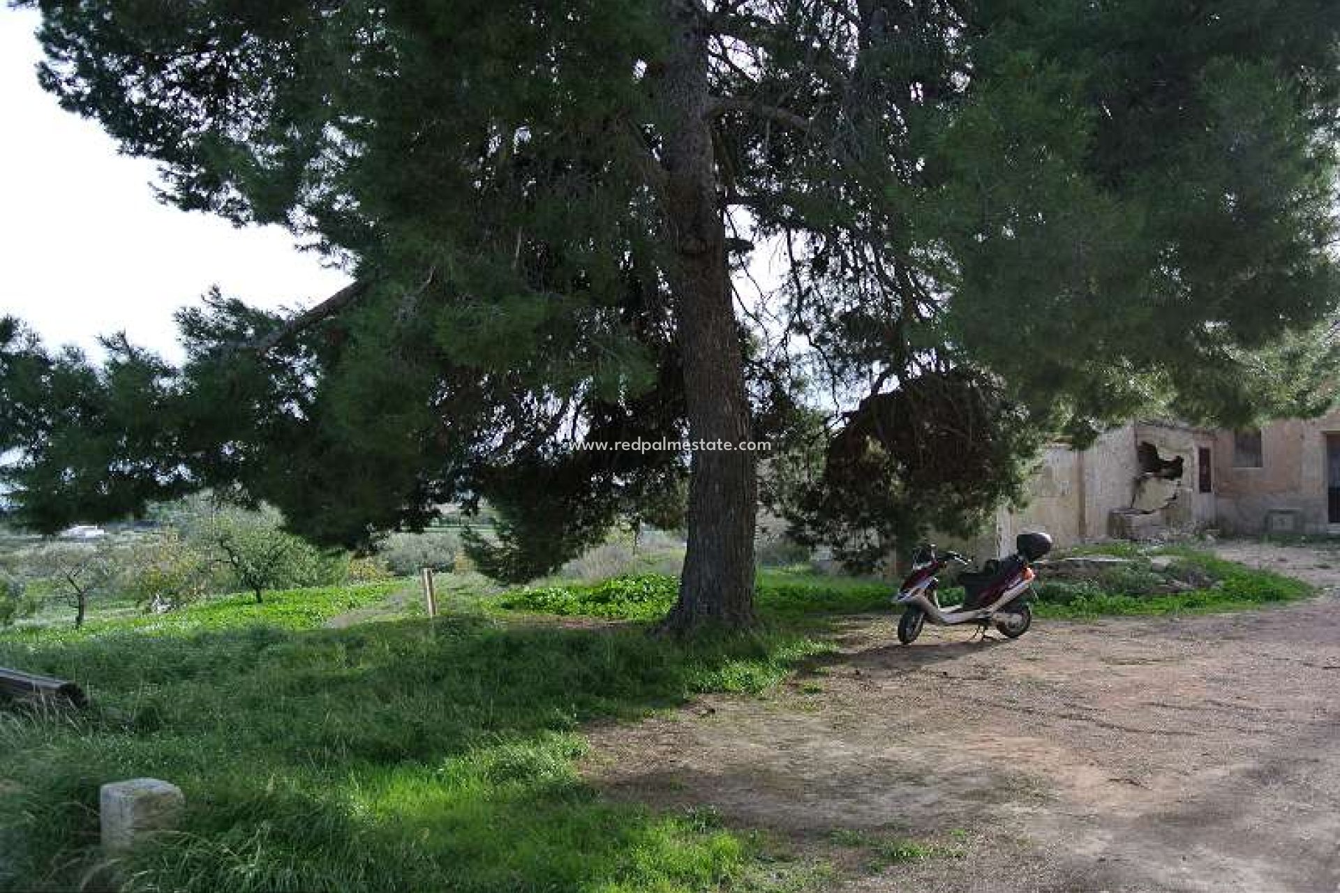 Resale - Finca / Country Property -
Monóvar/Monóver - Inland