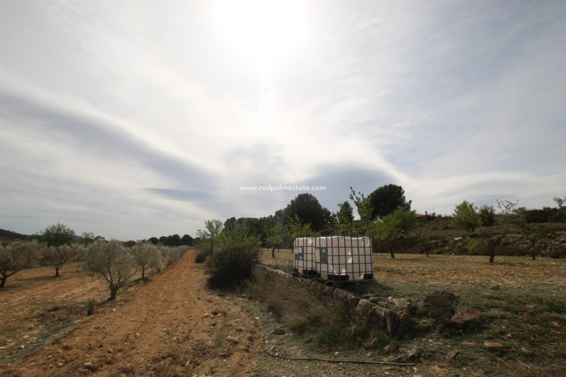 Resale - Finca / Country Property -
Monóvar/Monóver - Inland
