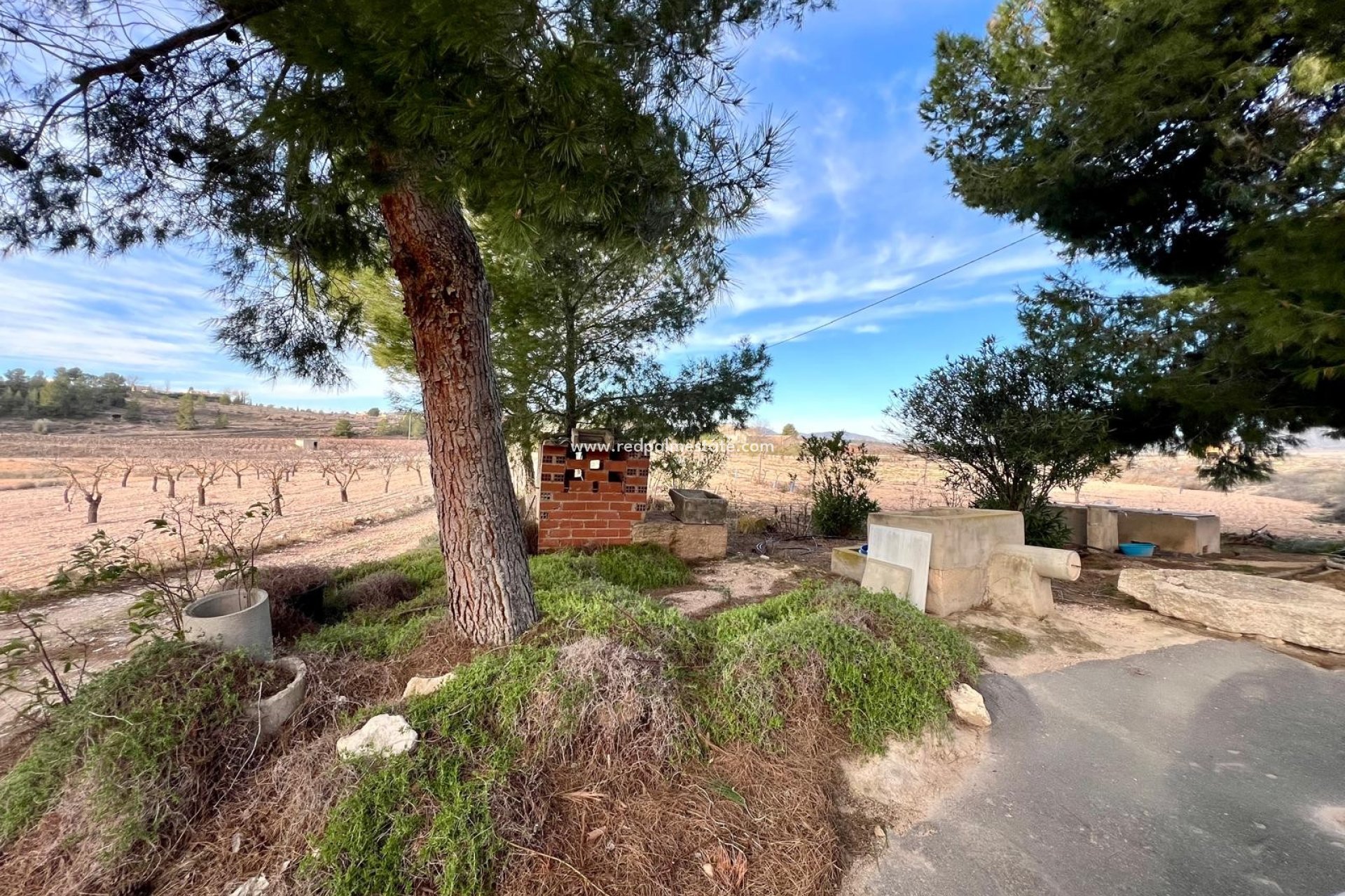 Resale - Finca / Country Property -
Monóvar/Monóver - Inland