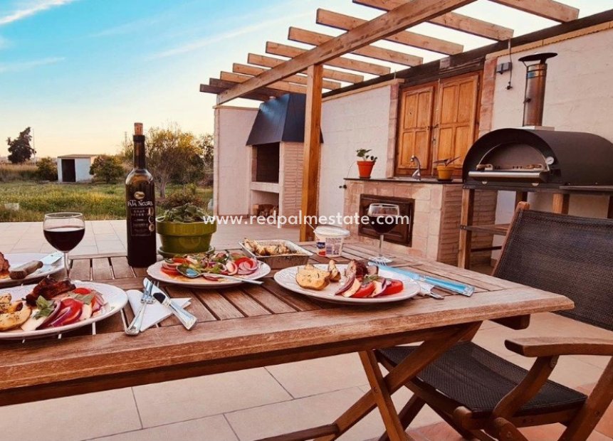 Resale - Finca / Country Property -
Montesinos - Los Montesinos