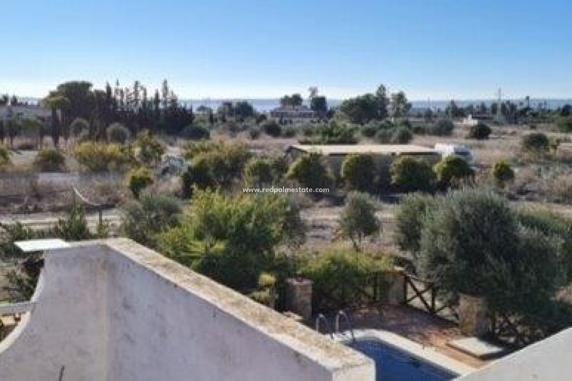 Resale - Finca / Country Property -
Montesinos - Los Montesinos