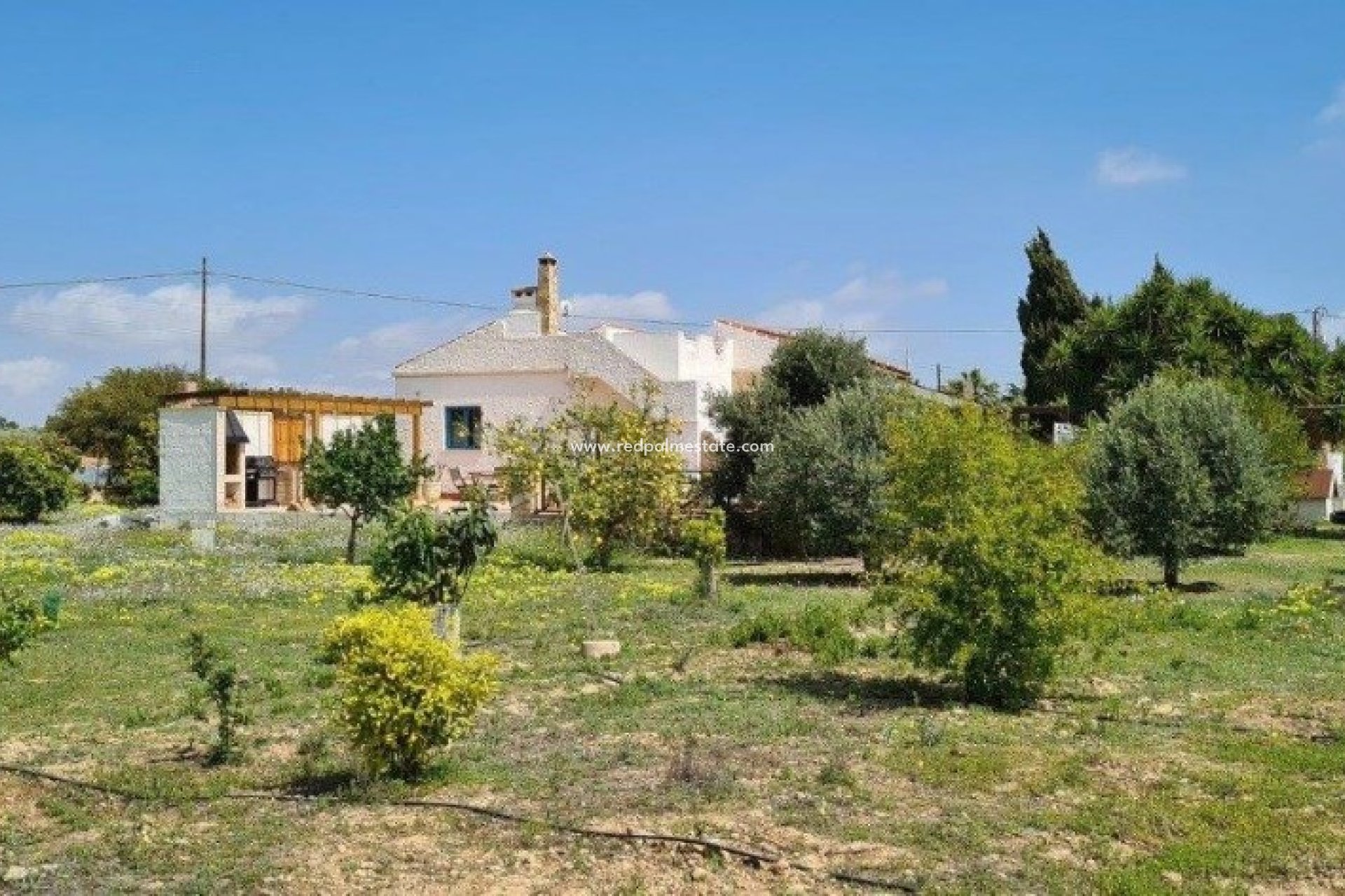 Resale - Finca / Country Property -
Montesinos - Los Montesinos