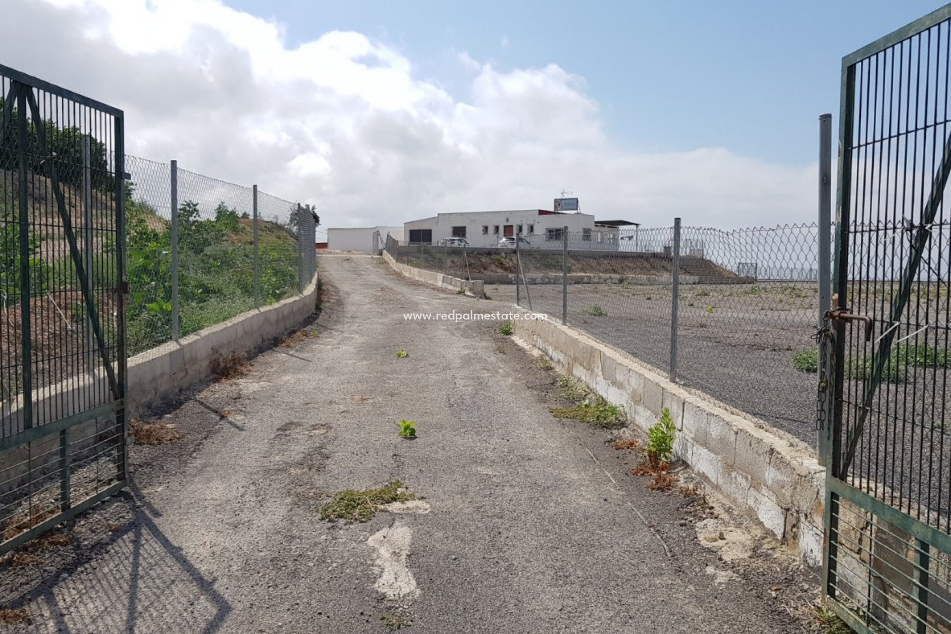 Resale - Finca / Country Property -
Montesinos - Los Montesinos