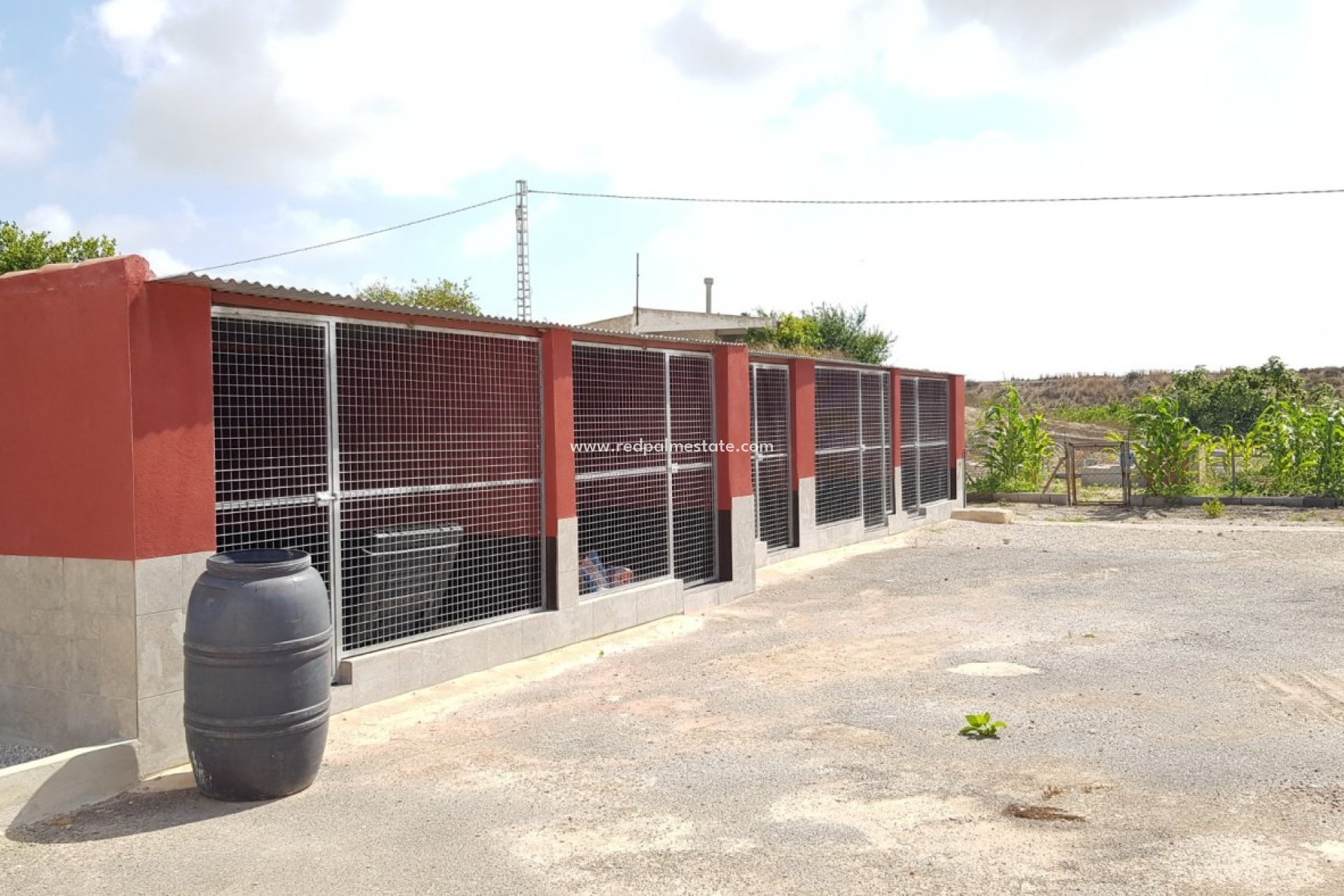 Resale - Finca / Country Property -
Montesinos - Los Montesinos