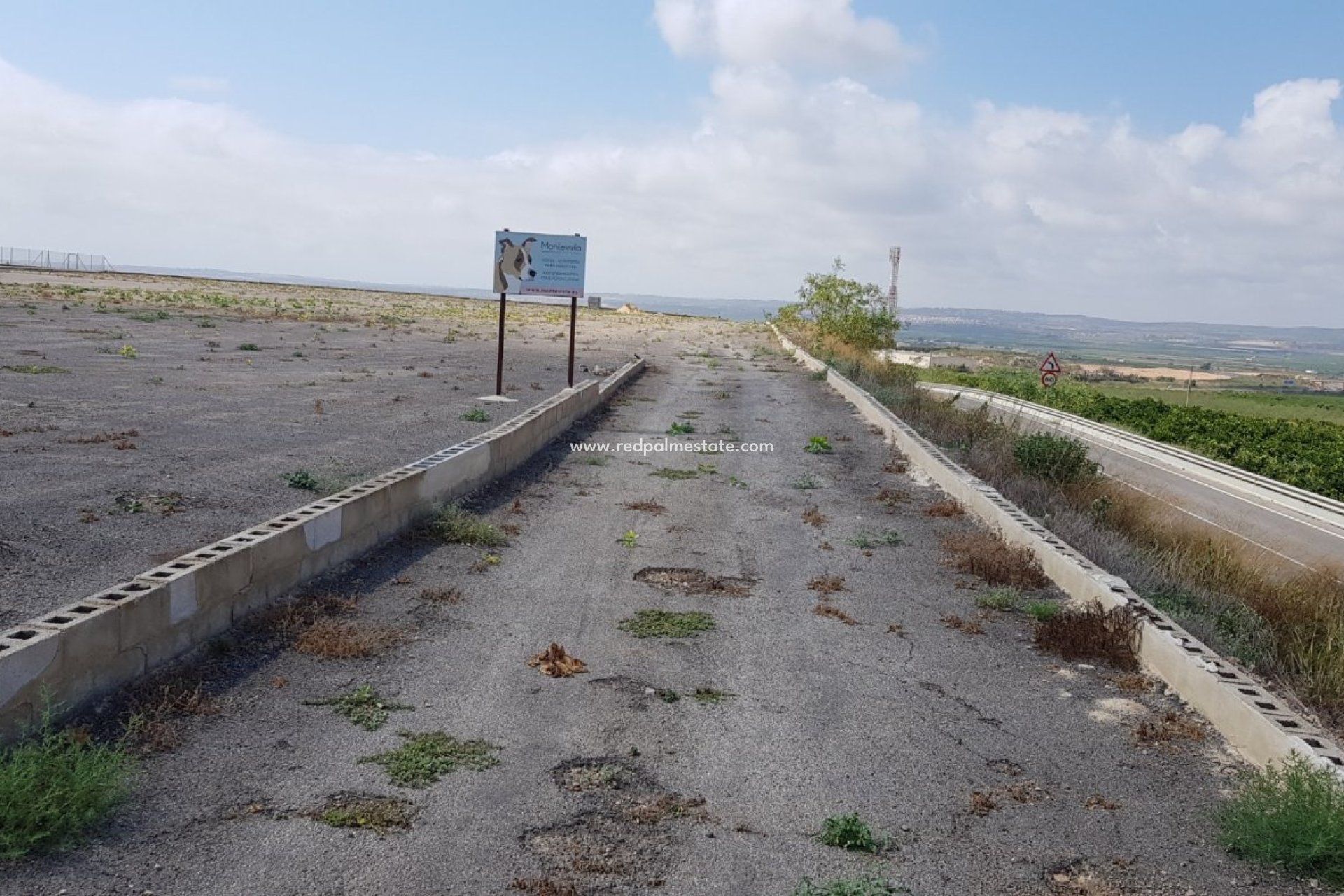 Resale - Finca / Country Property -
Montesinos - Los Montesinos