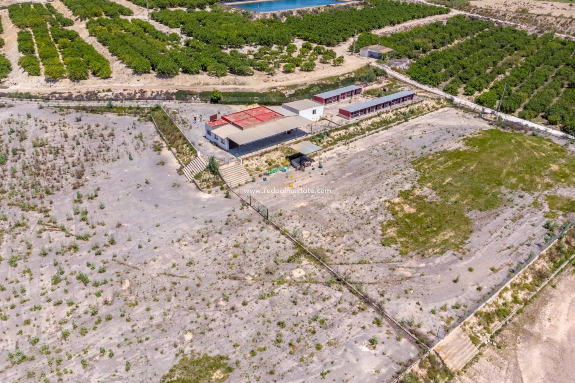 Resale - Finca / Country Property -
Montesinos - Los Montesinos