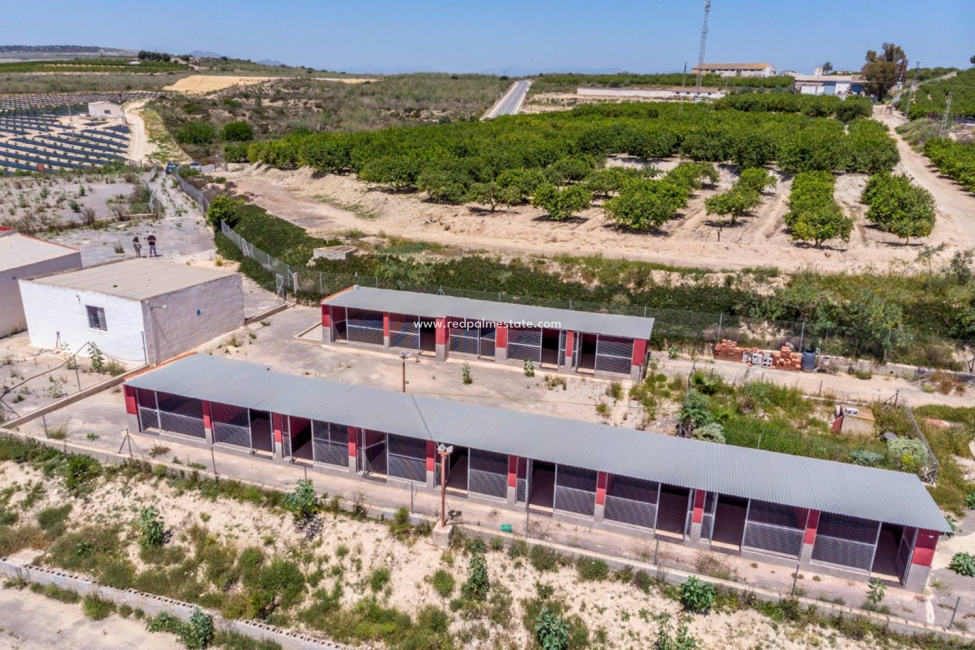 Resale - Finca / Country Property -
Montesinos - Los Montesinos