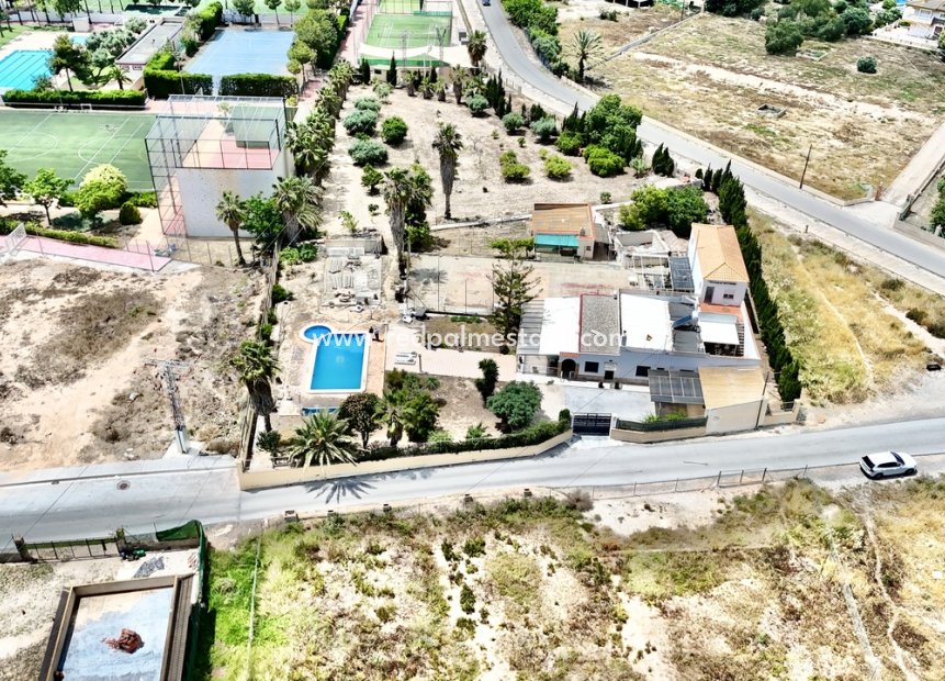 Resale - Finca / Country Property -
Montesinos - Los Montesinos