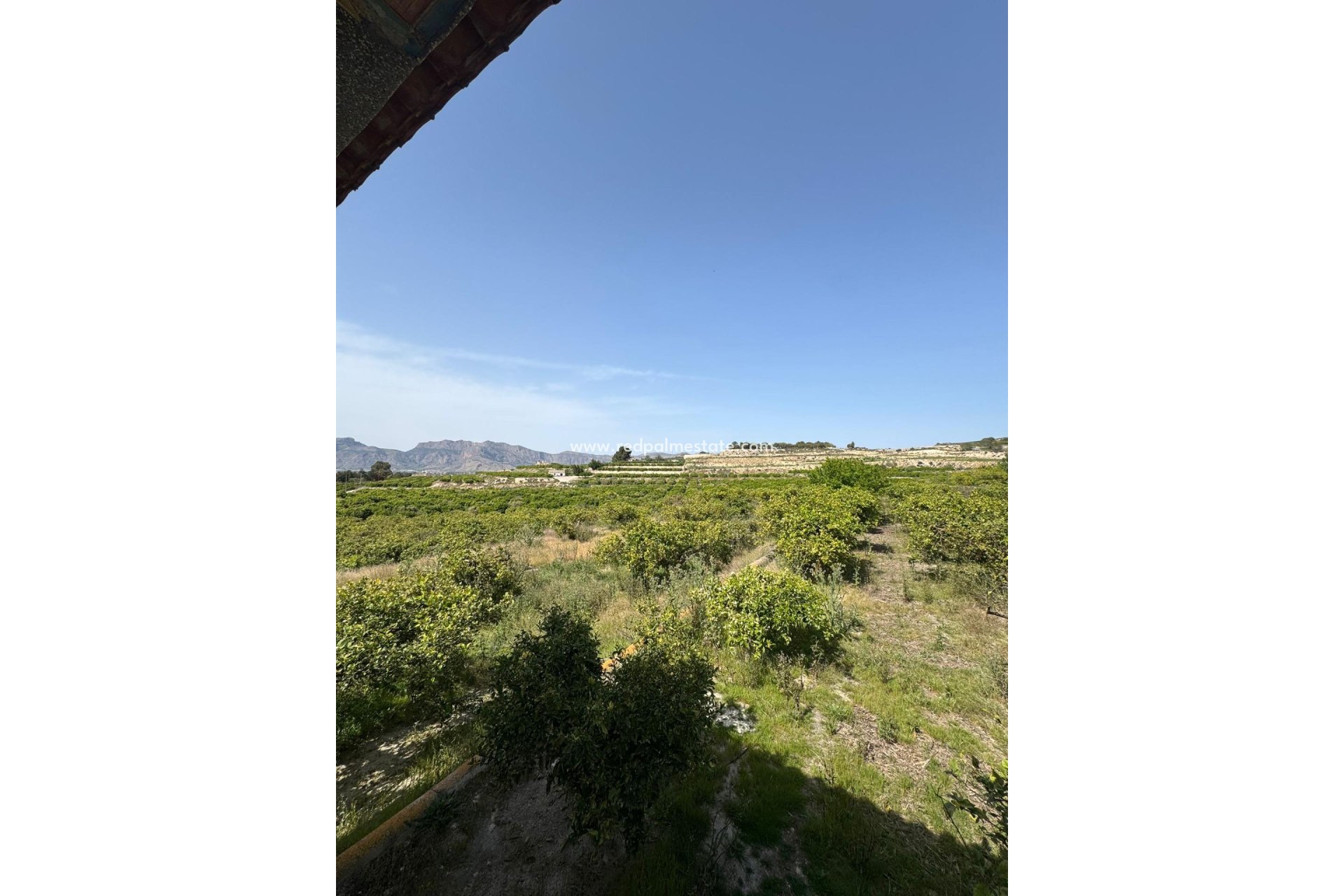 Resale - Finca / Country Property -
Orihuela - Arneva