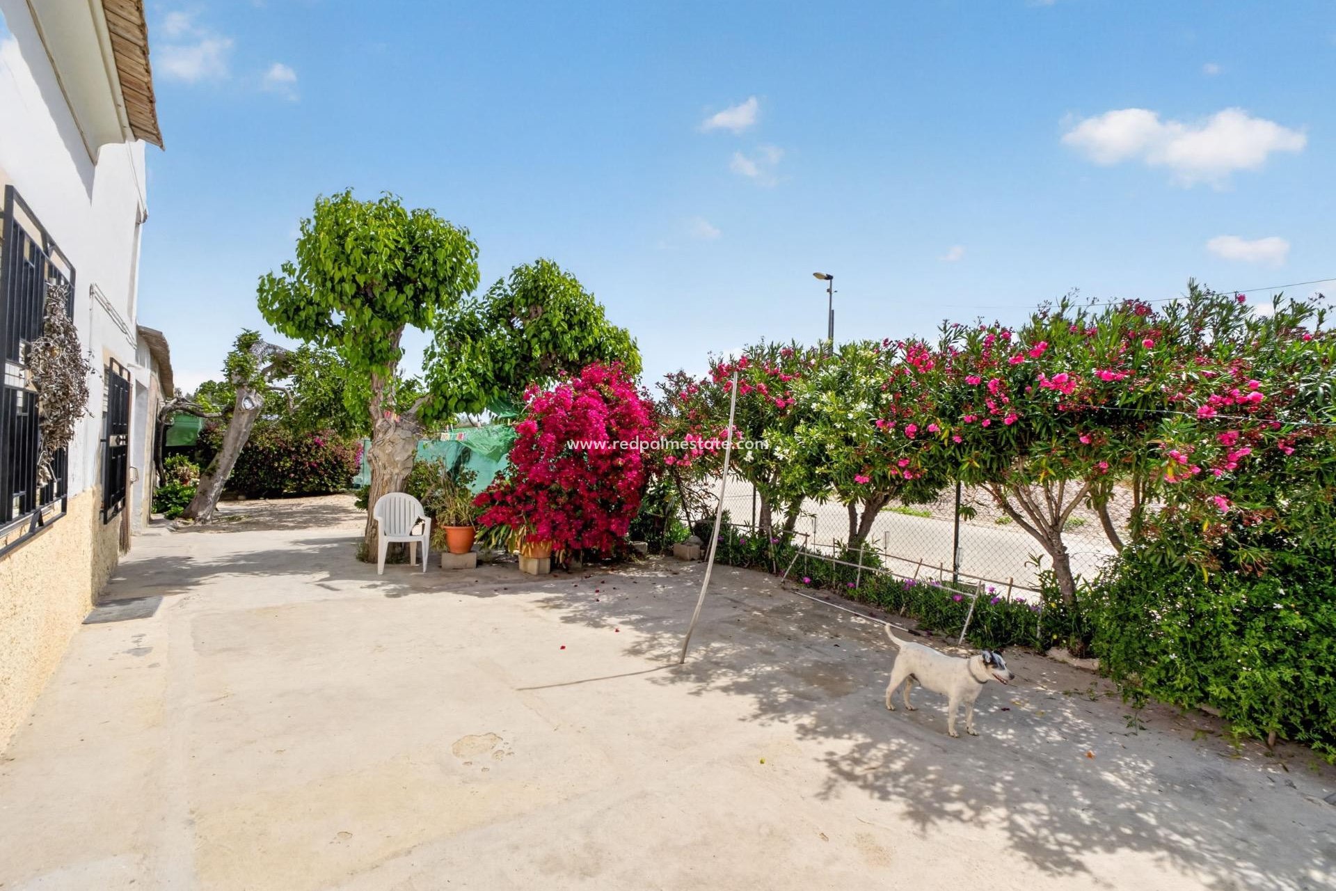 Resale - Finca / Country Property -
Orihuela Costa - Desamparados-hurchillo-torremendo