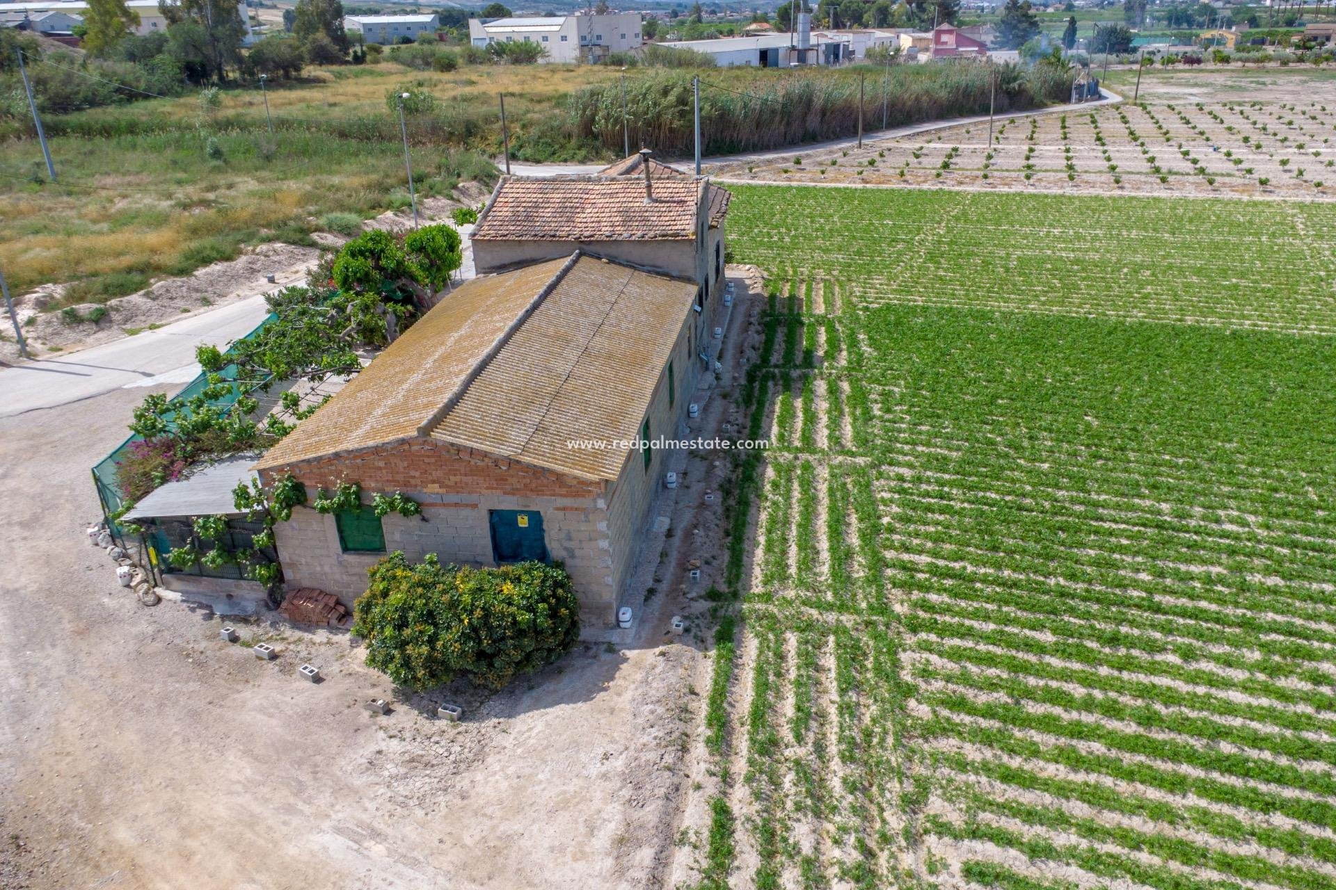 Resale - Finca / Country Property -
Orihuela Costa - Desamparados-hurchillo-torremendo