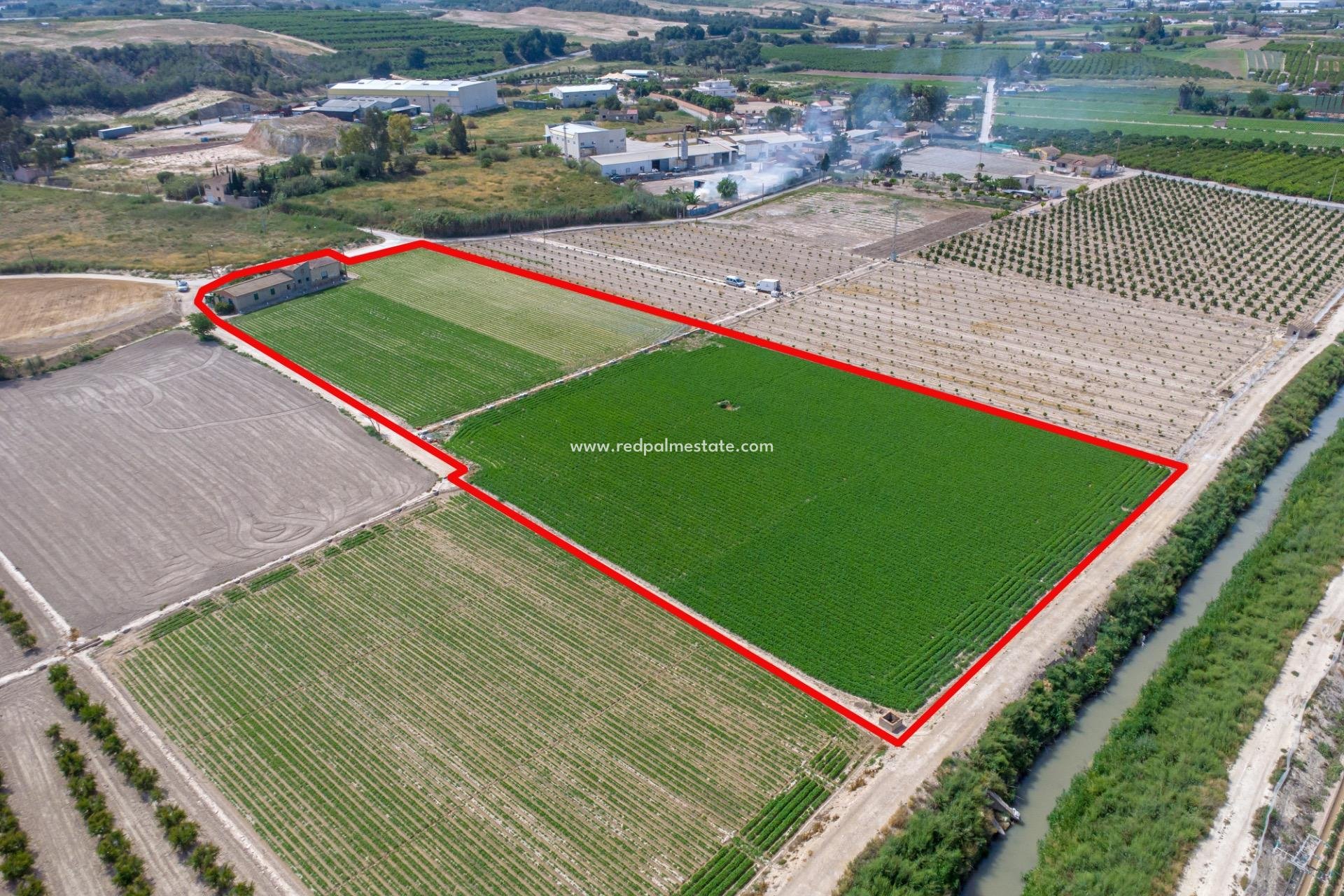 Resale - Finca / Country Property -
Orihuela Costa - Desamparados-hurchillo-torremendo