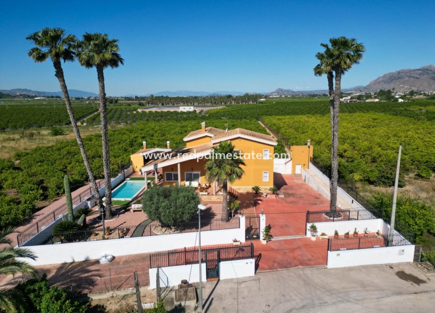 Resale - Finca / Country Property -
Orihuela Costa - Orihuela