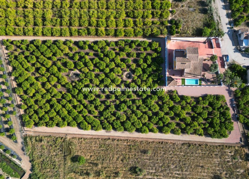 Resale - Finca / Country Property -
Orihuela Costa - Orihuela