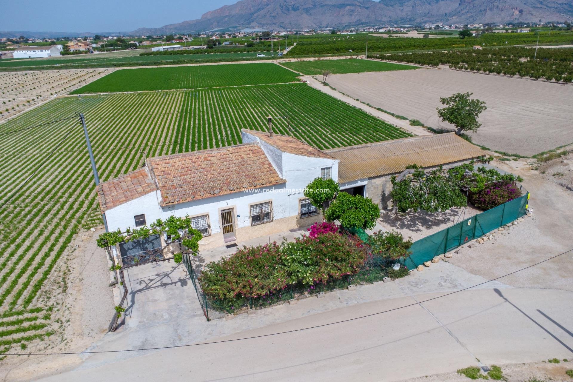 Resale - Finca / Country Property -
Orihuela Costa - Torremendo
