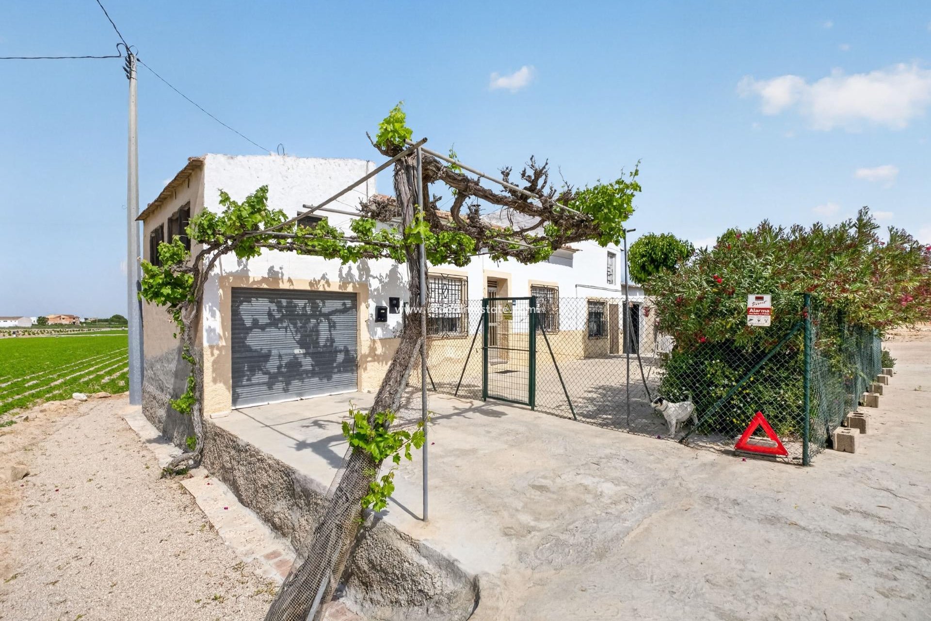 Resale - Finca / Country Property -
Orihuela Costa - Torremendo