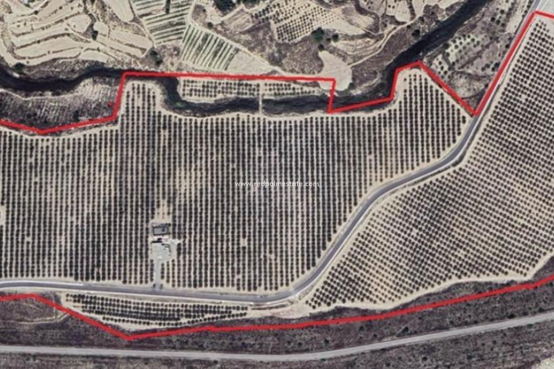 Resale - Finca / Country Property -
Orihuela - Desamparados-hurchillo-torremendo