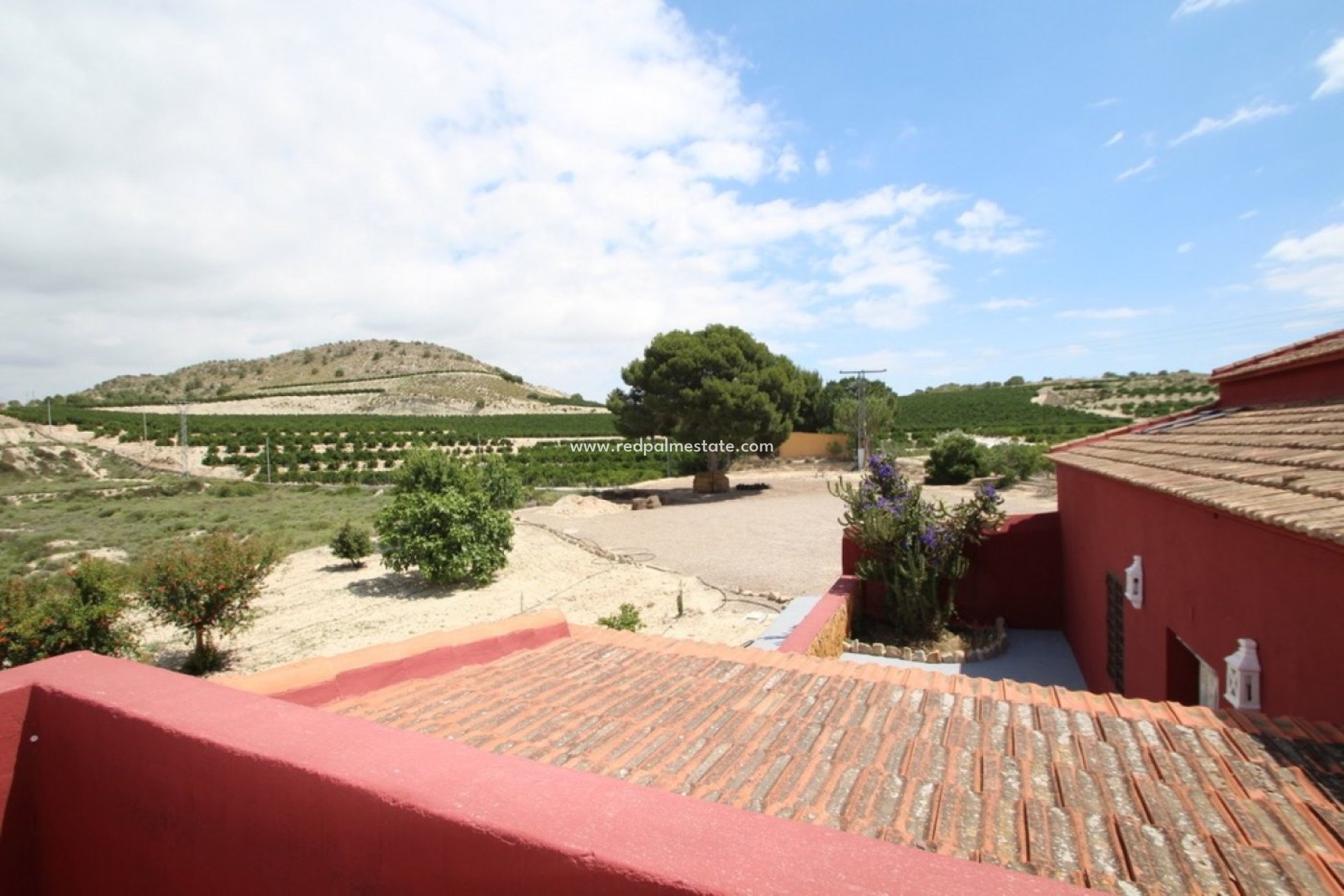 Resale - Finca / Country Property -
Orihuela - Inland