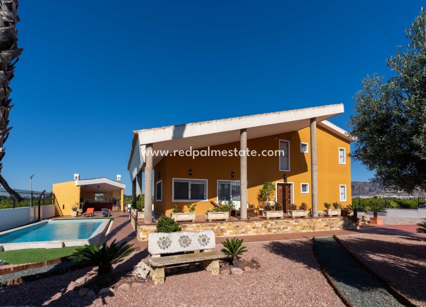 Resale - Finca / Country Property -
Orihuela