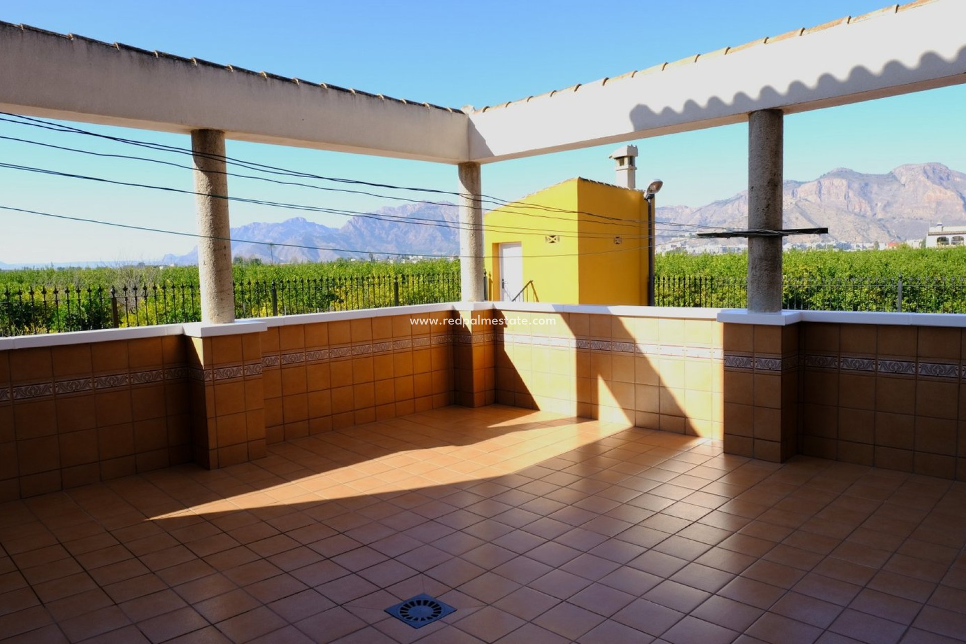 Resale - Finca / Country Property -
Orihuela