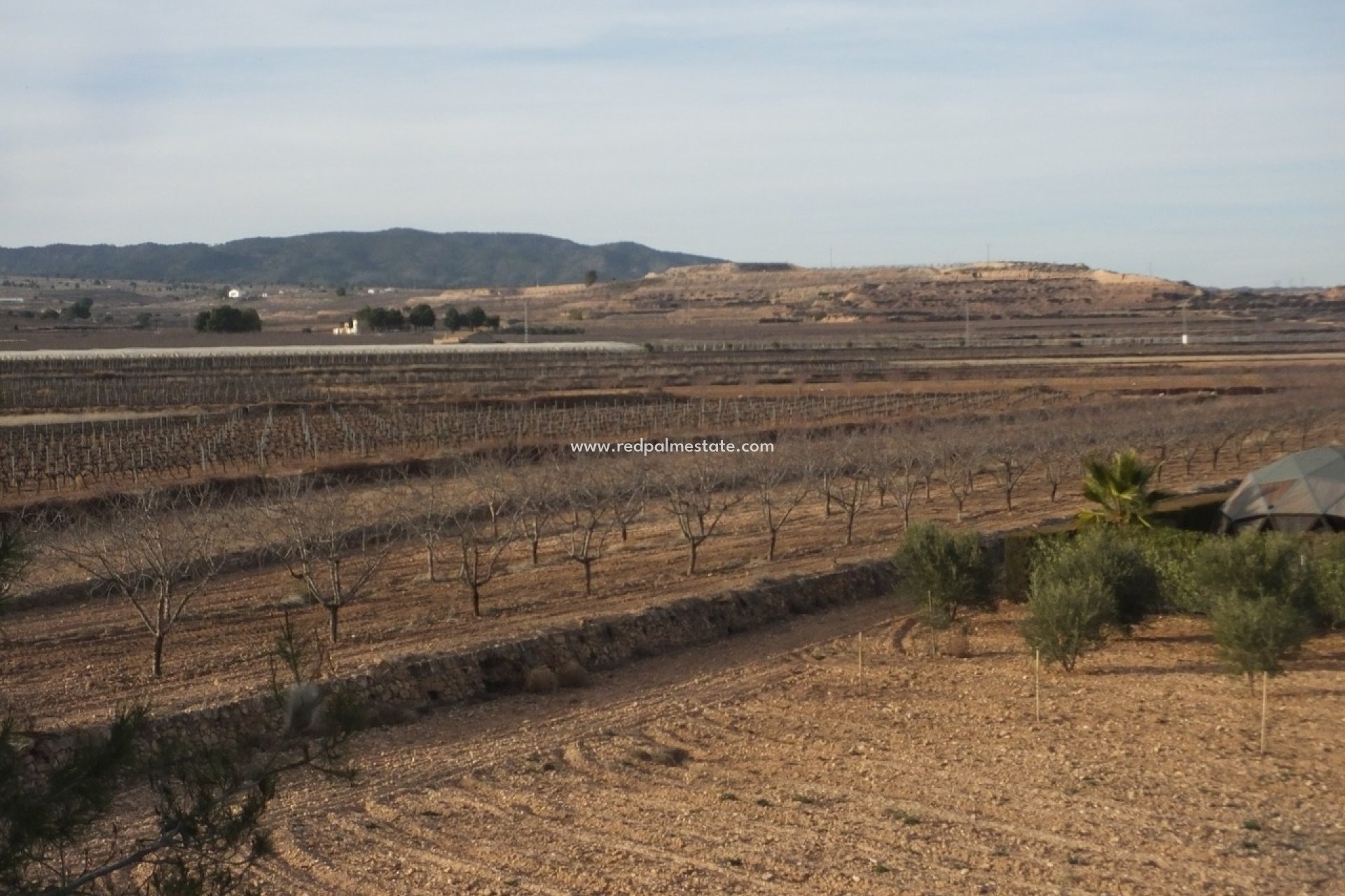 Resale - Finca / Country Property -
Pinoso - Inland