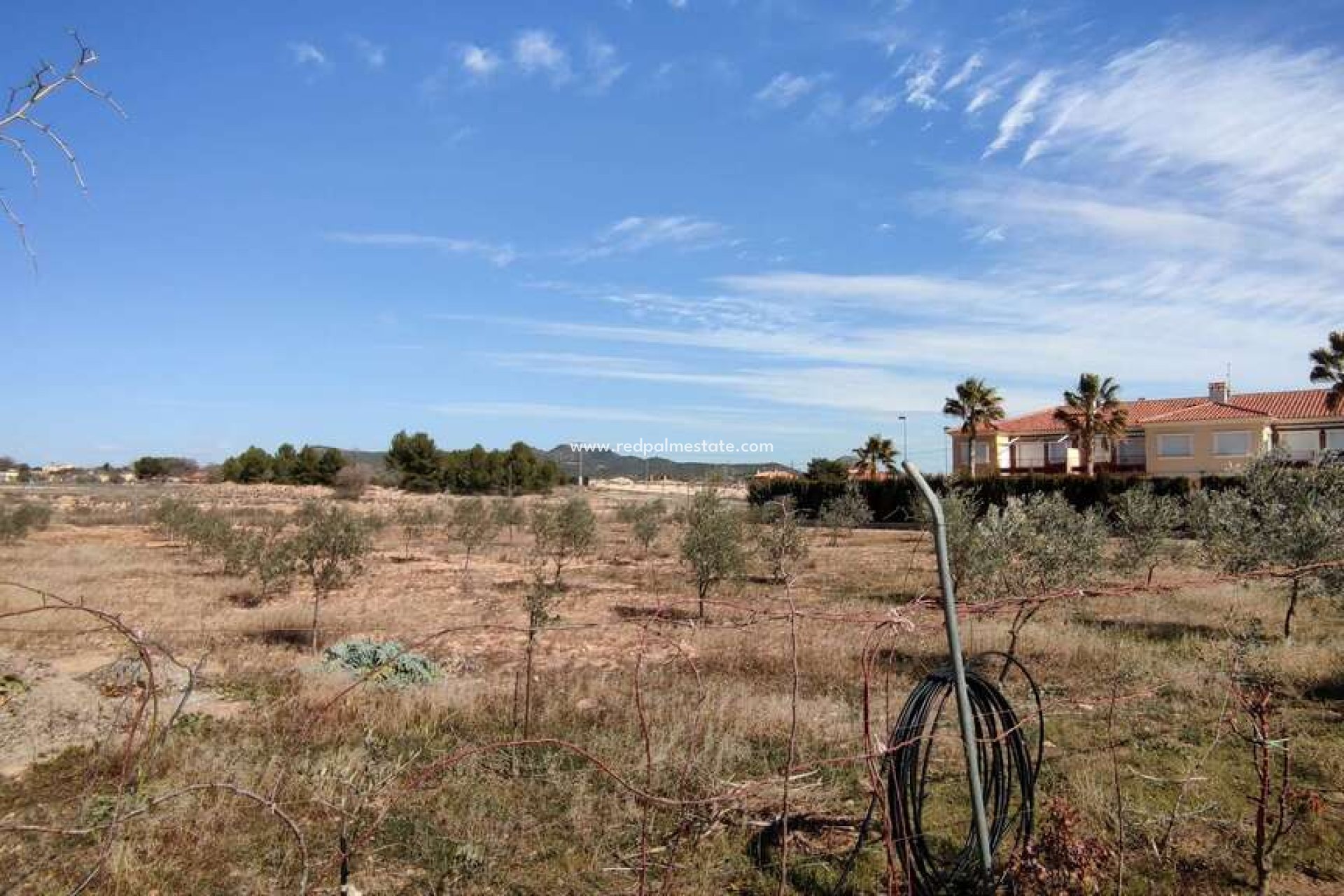 Resale - Finca / Country Property -
Pinoso - Inland