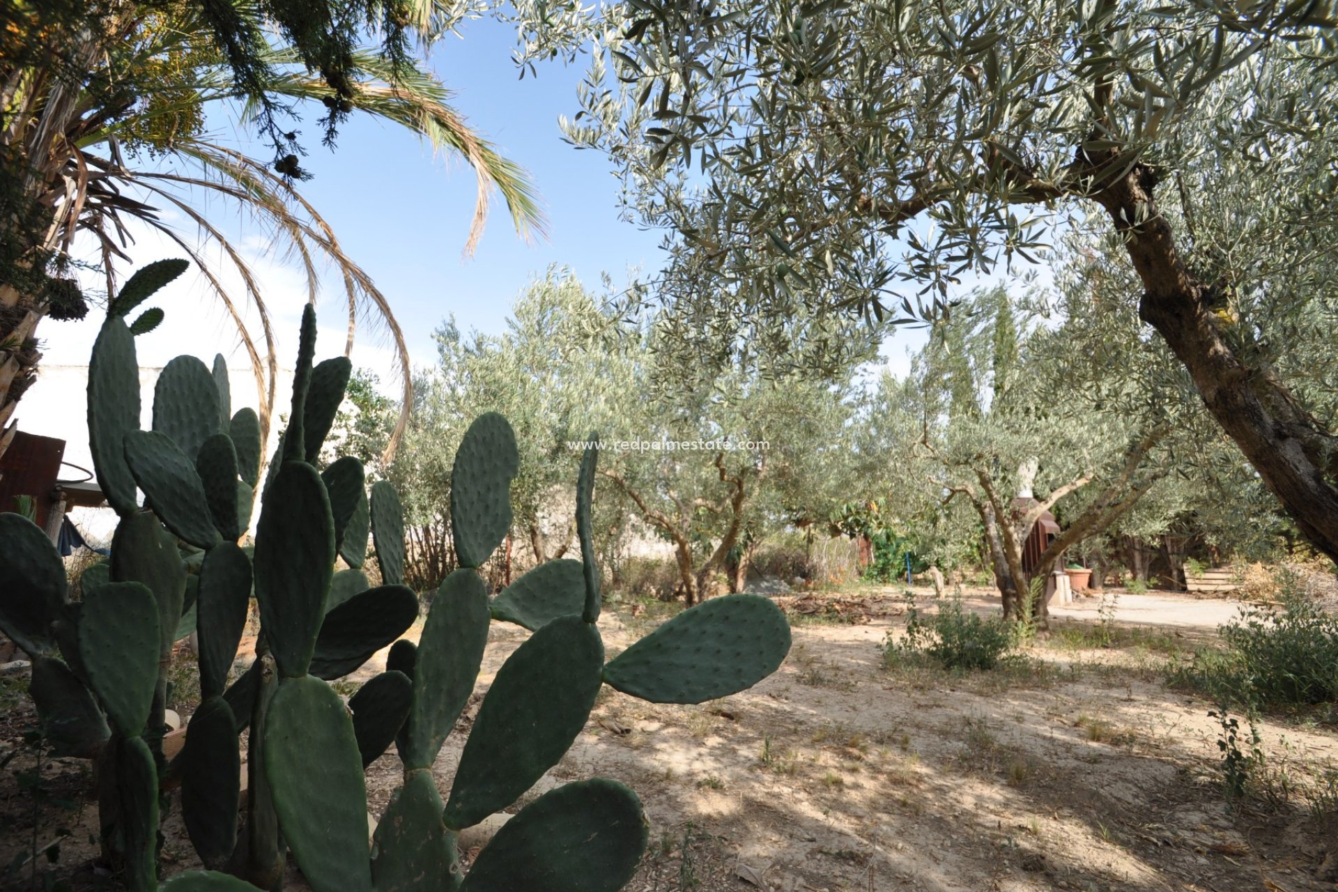 Resale - Finca / Country Property -
Pinoso - Inland