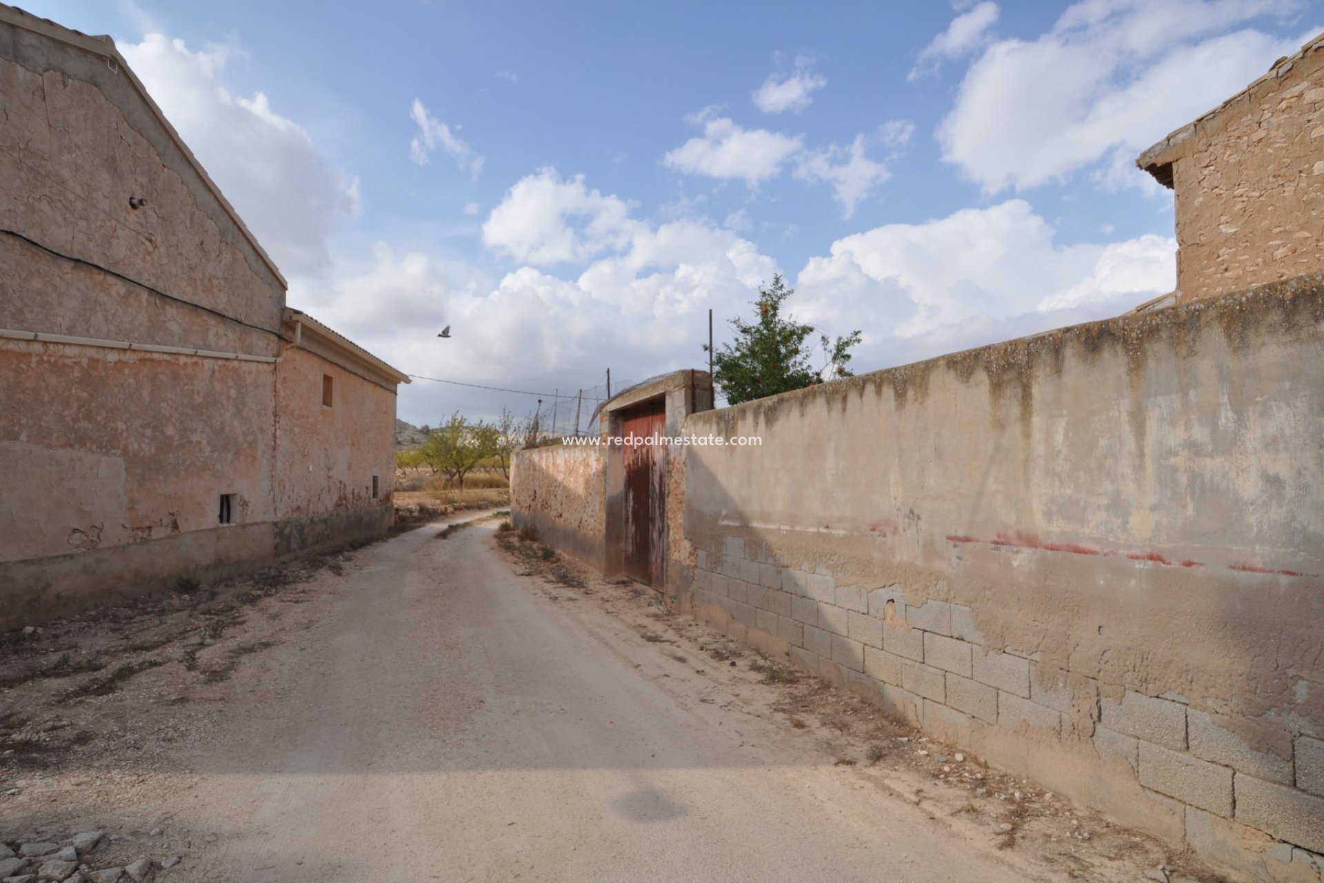 Resale - Finca / Country Property -
Pinoso - Inland