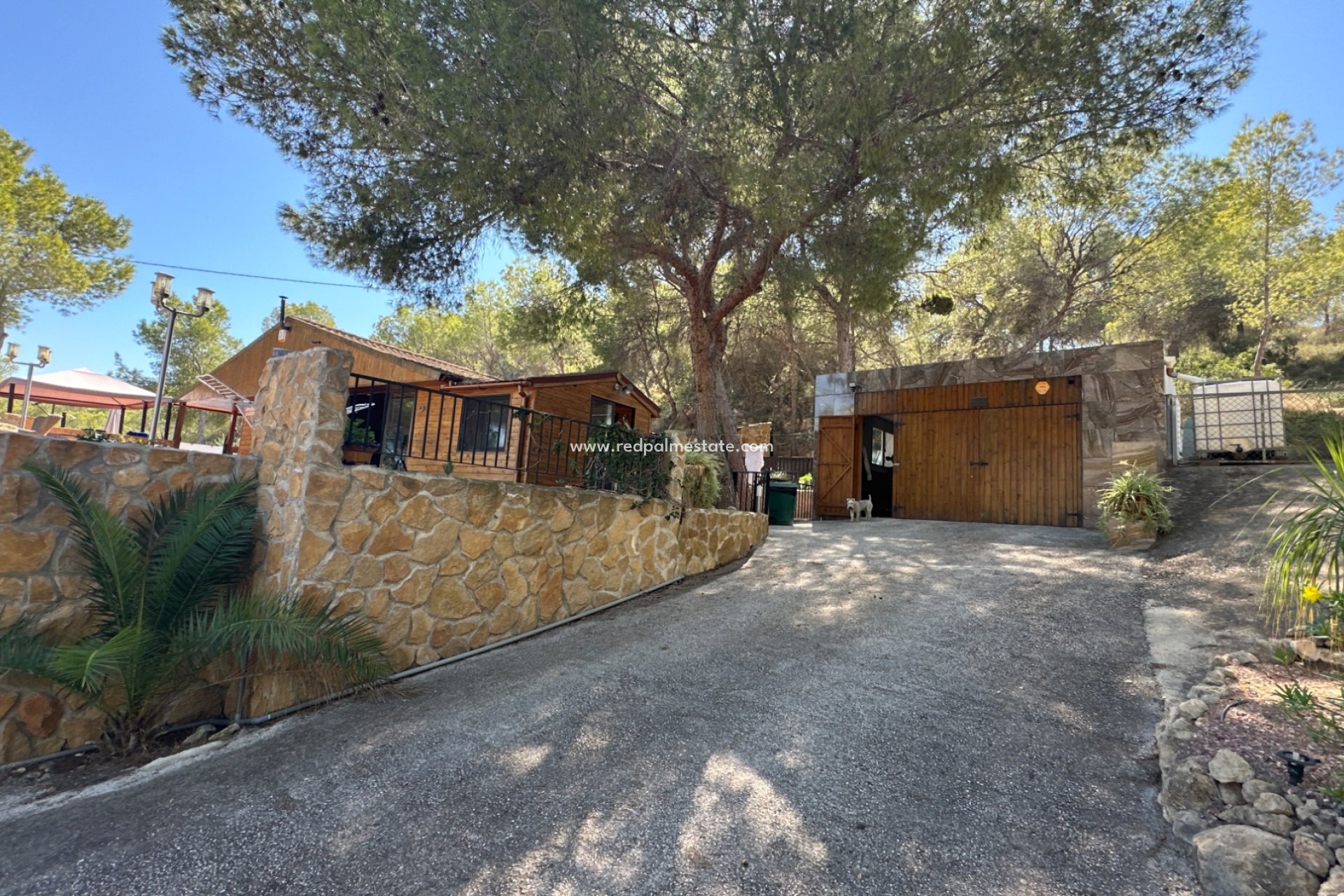 Resale - Finca / Country Property -
San Miguel de Salinas - Inland