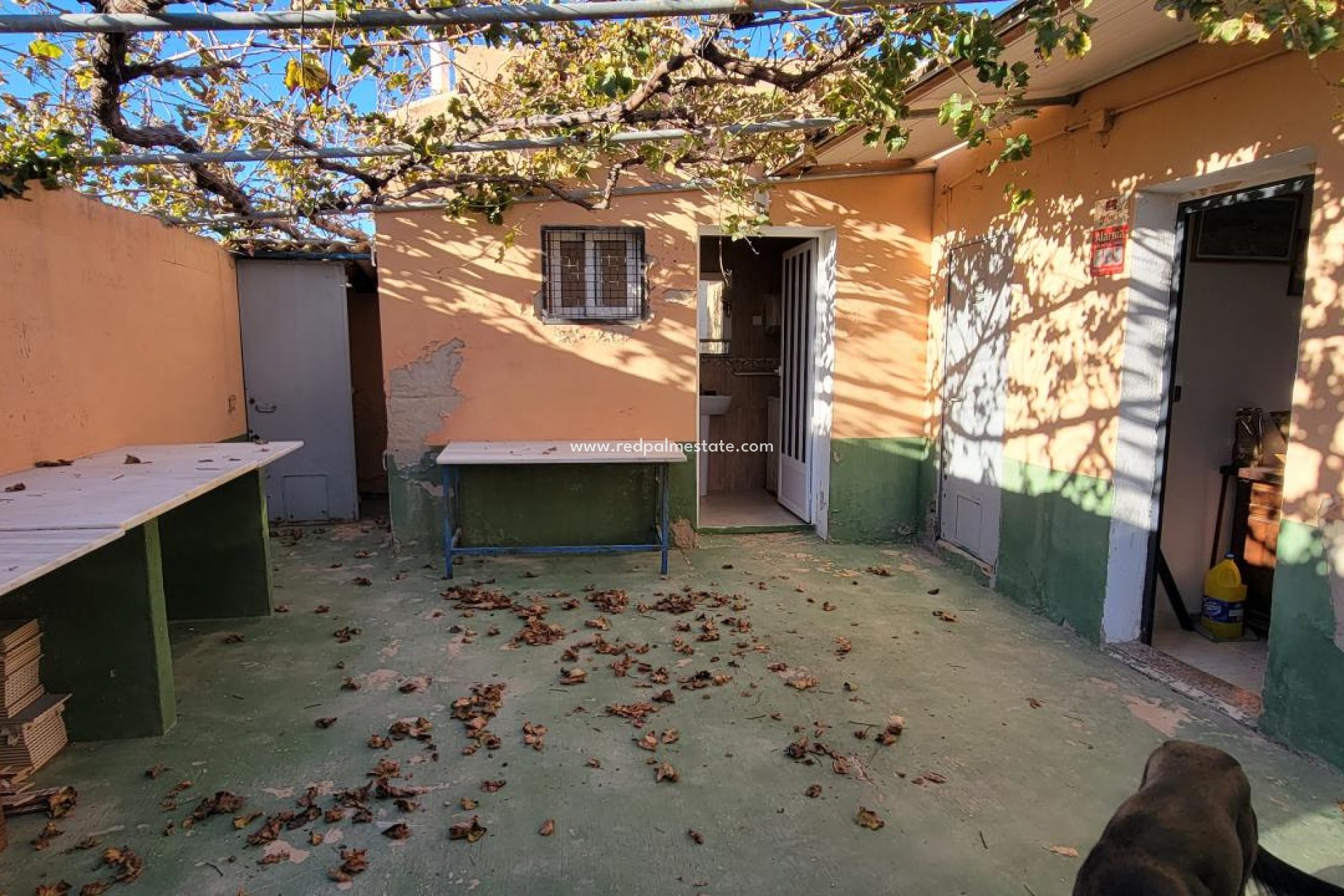 Resale - Finca / Country Property -
San Miguel de Salinas - San Miguel Salinas