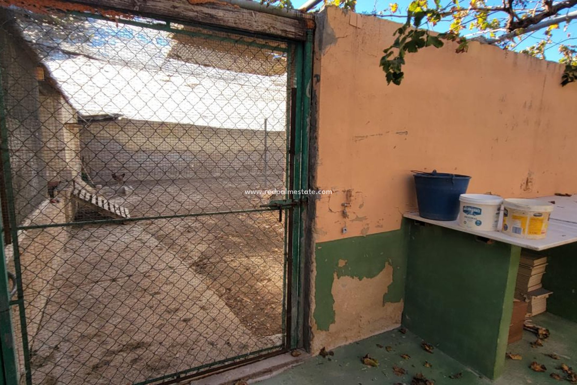 Resale - Finca / Country Property -
San Miguel de Salinas - San Miguel Salinas