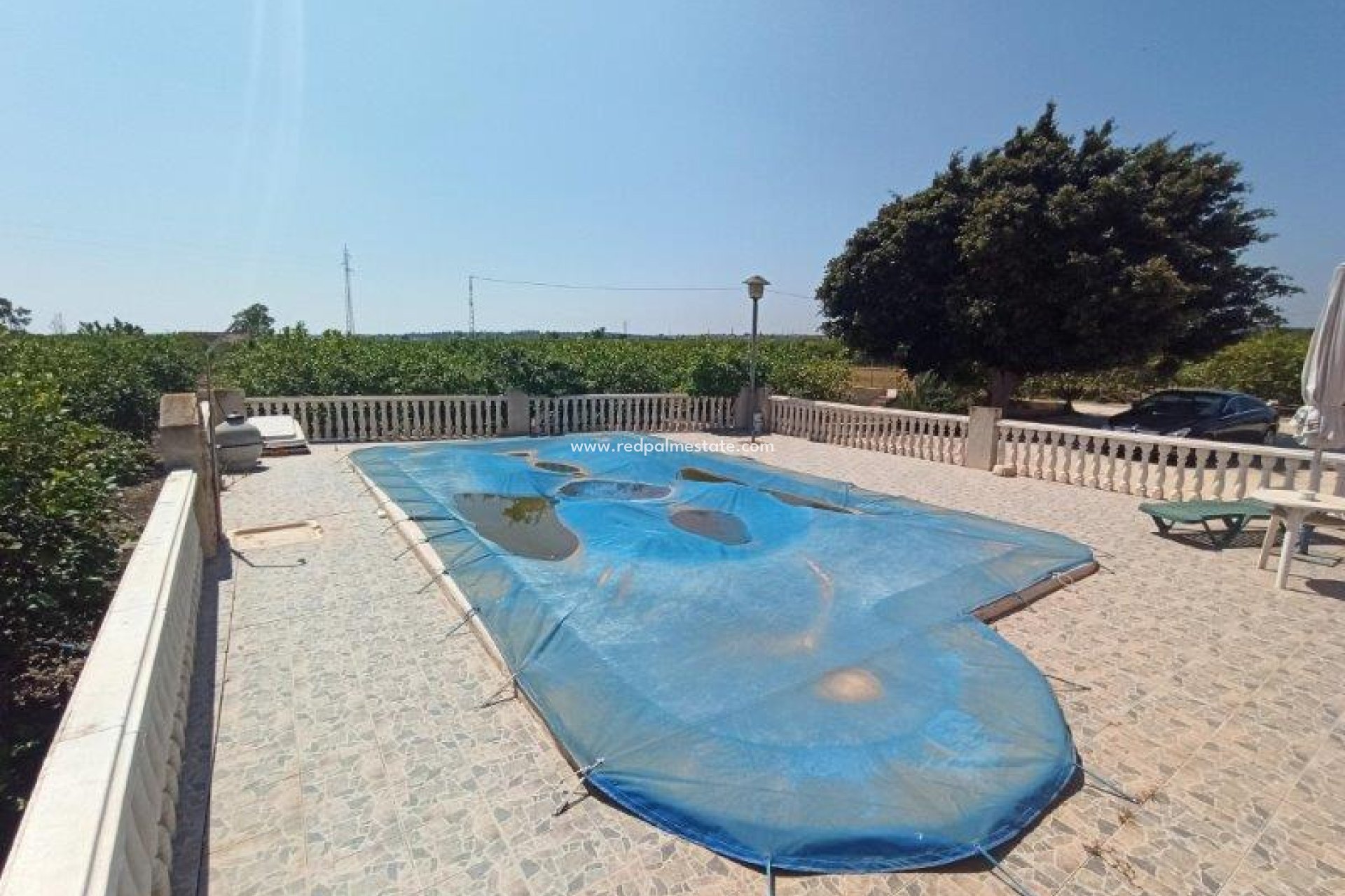 Resale - Finca / Country Property -
San Miguel de Salinas - San Miguel Salinas