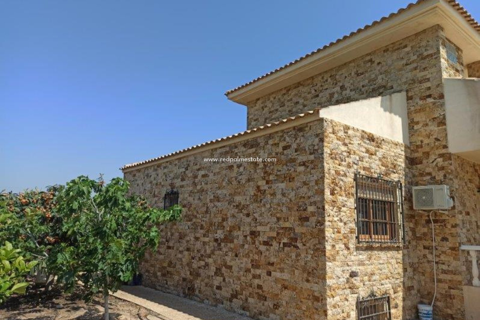 Resale - Finca / Country Property -
San Miguel de Salinas - San Miguel Salinas