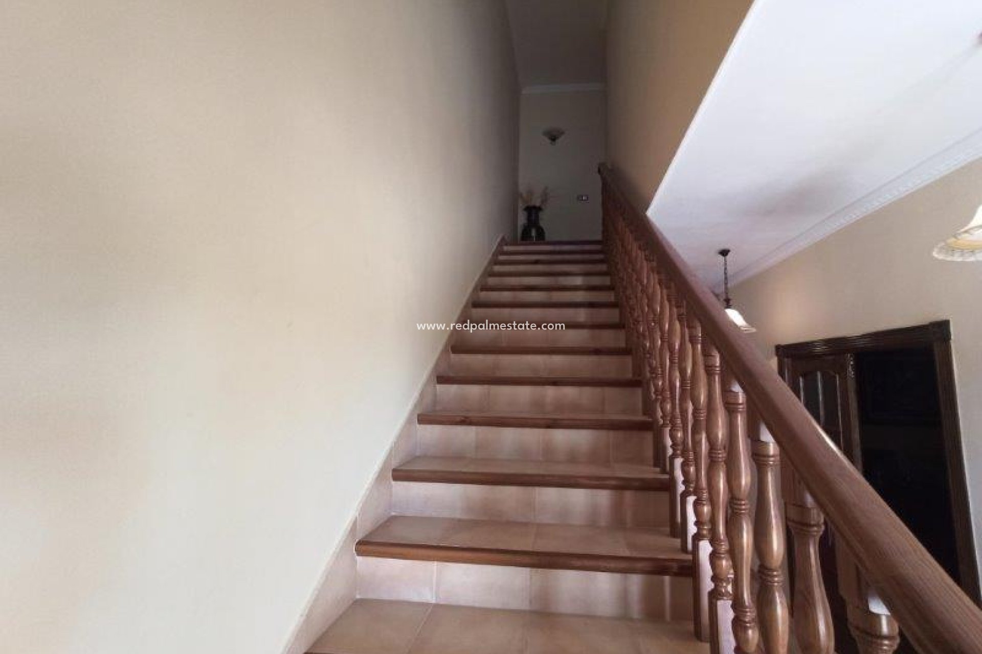 Resale - Finca / Country Property -
San Miguel de Salinas - San Miguel Salinas