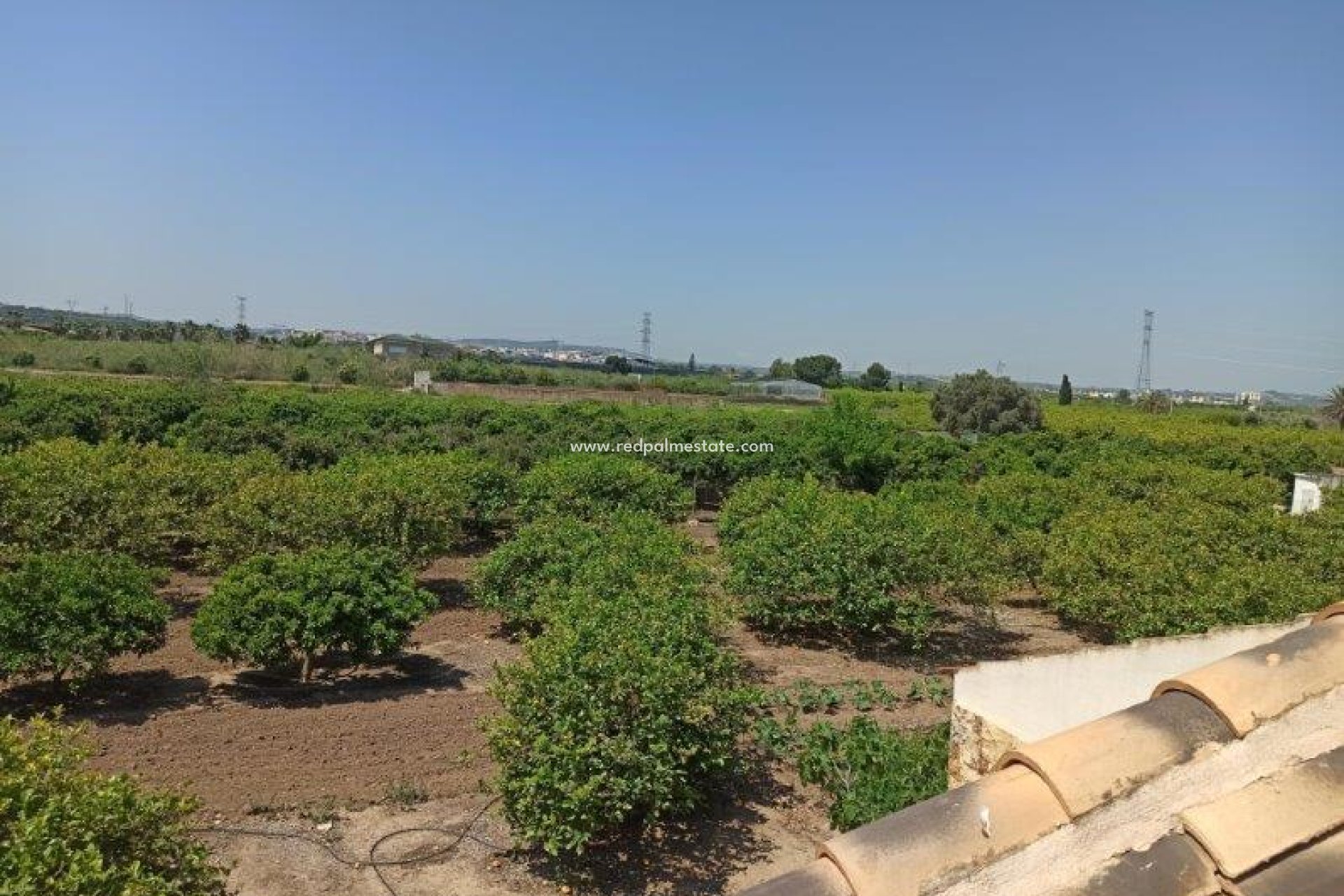 Resale - Finca / Country Property -
San Miguel de Salinas - San Miguel Salinas