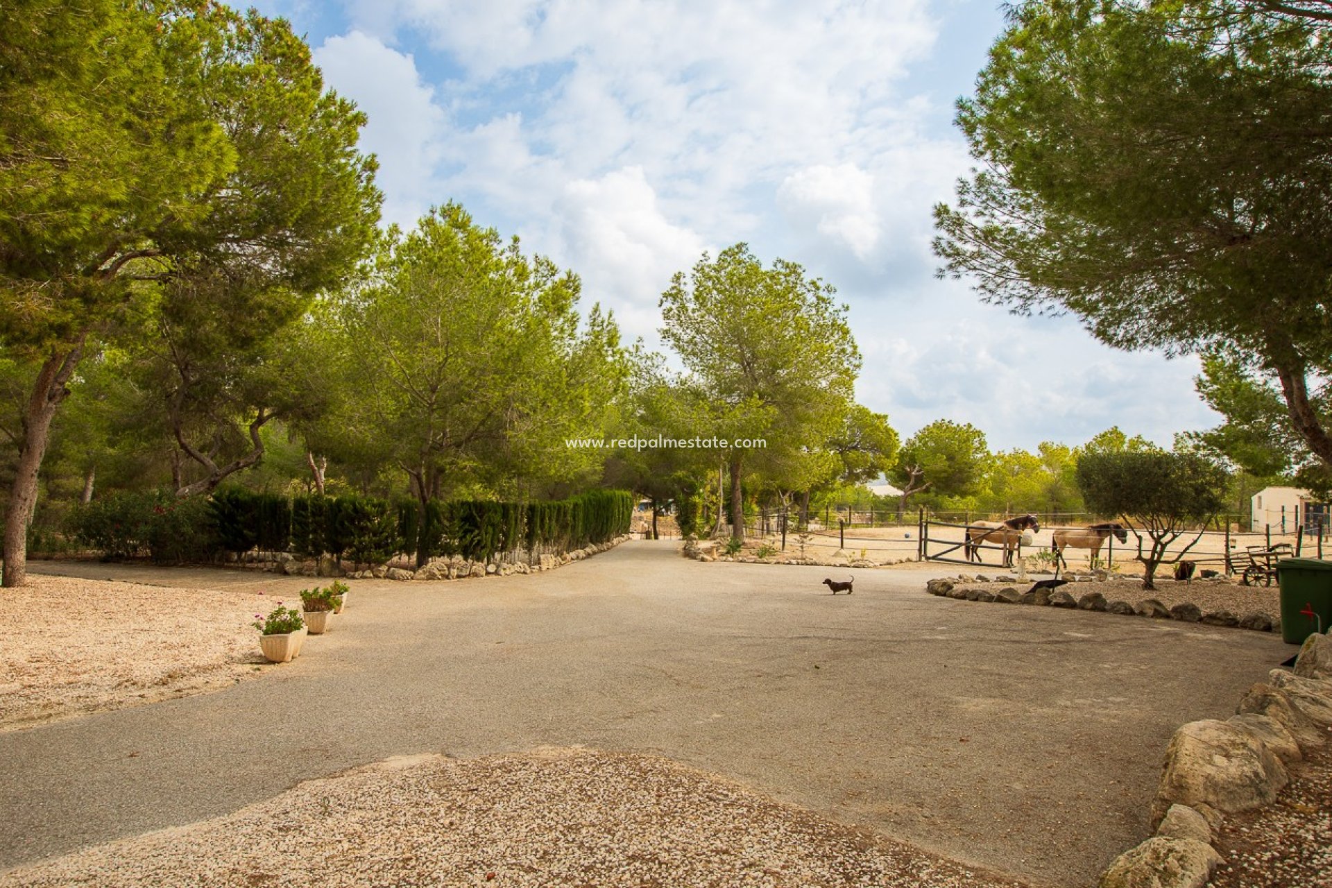 Resale - Finca / Country Property -
Torremendo