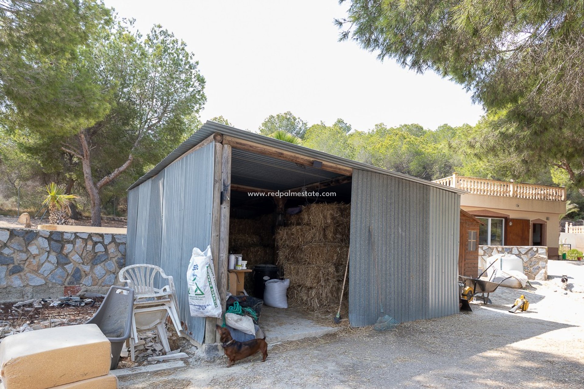 Resale - Finca / Country Property -
Torremendo
