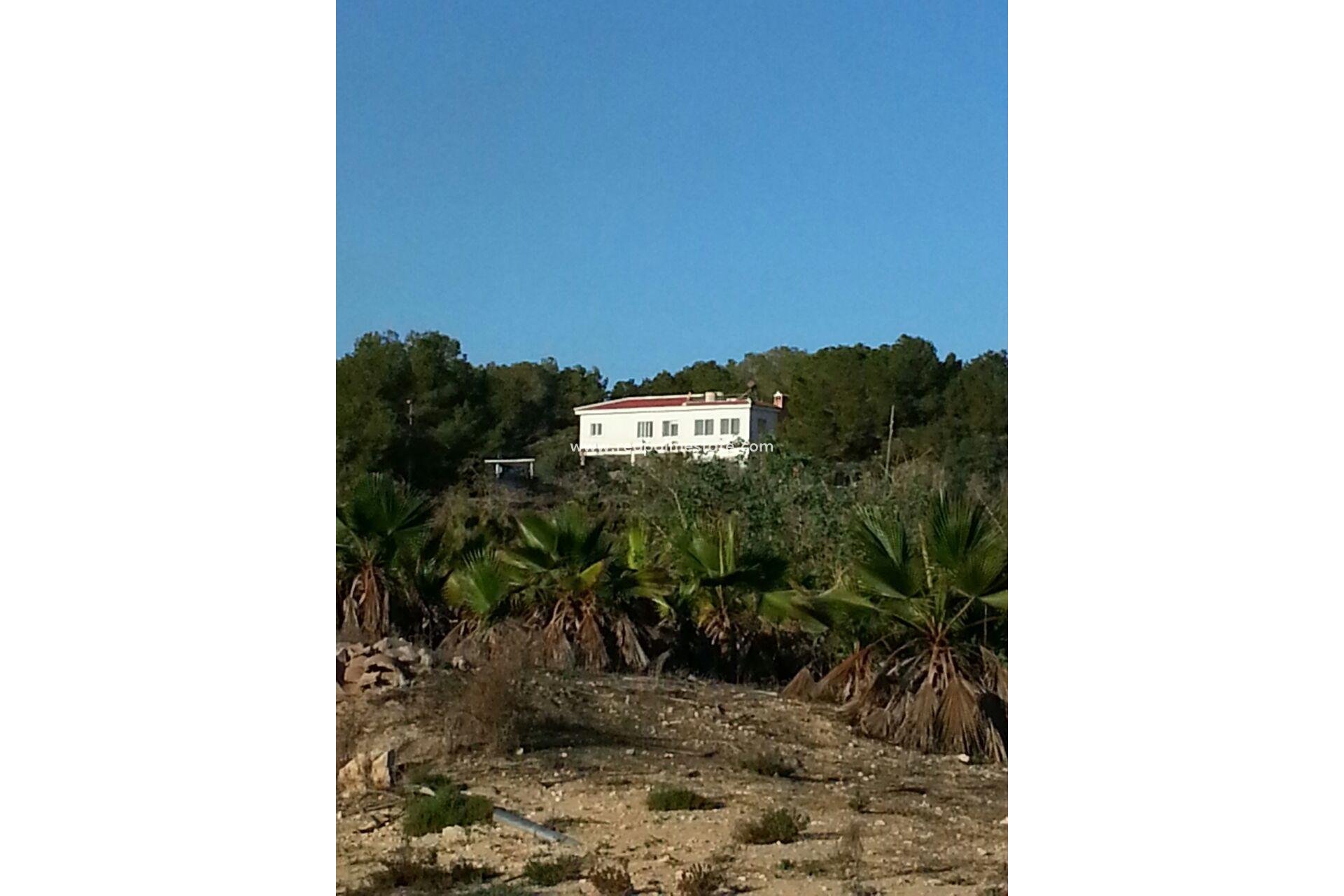 Resale - Finca / Country Property -
Torrevieja - Los balcones