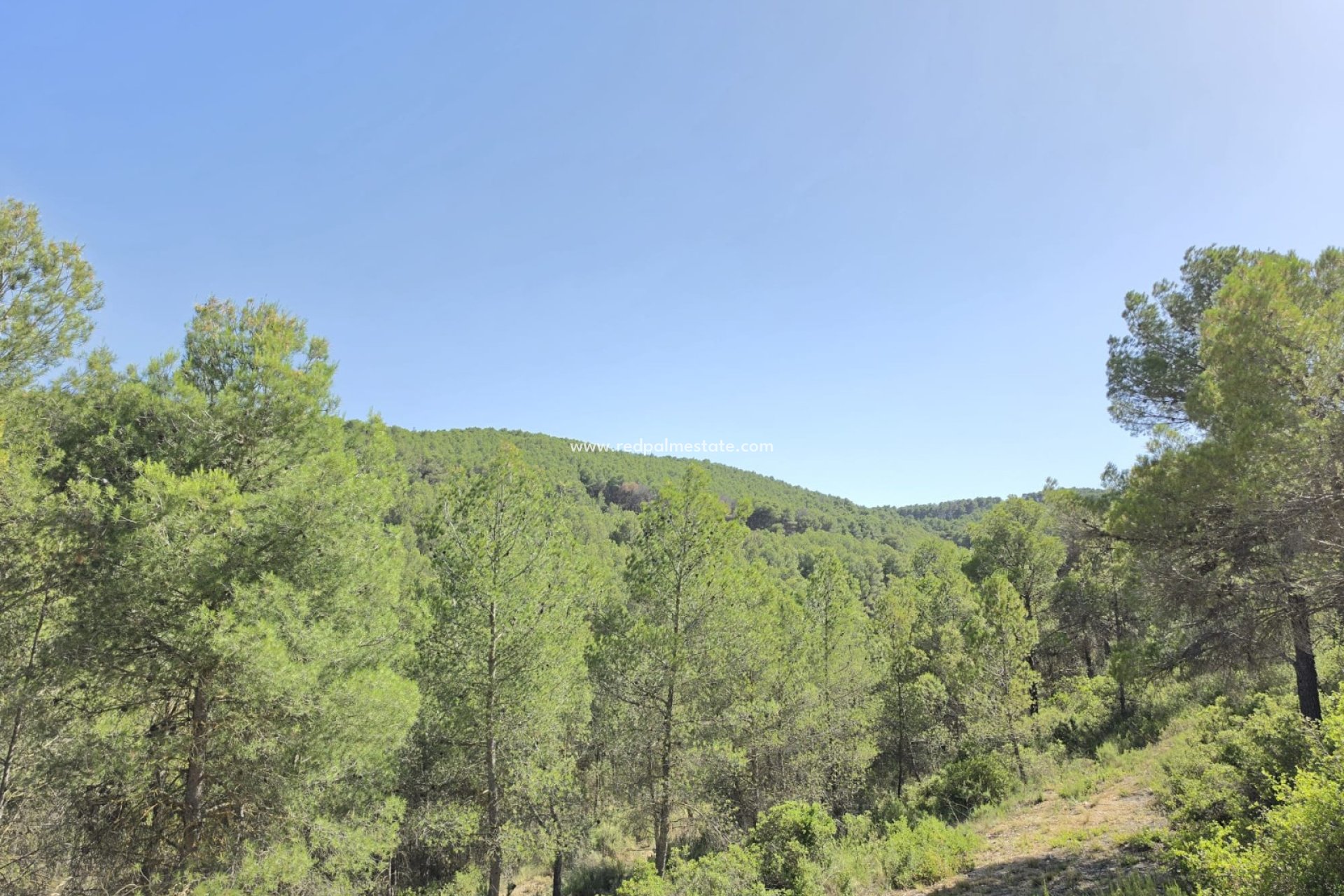Resale - Finca / Country Property -
Villena - Inland