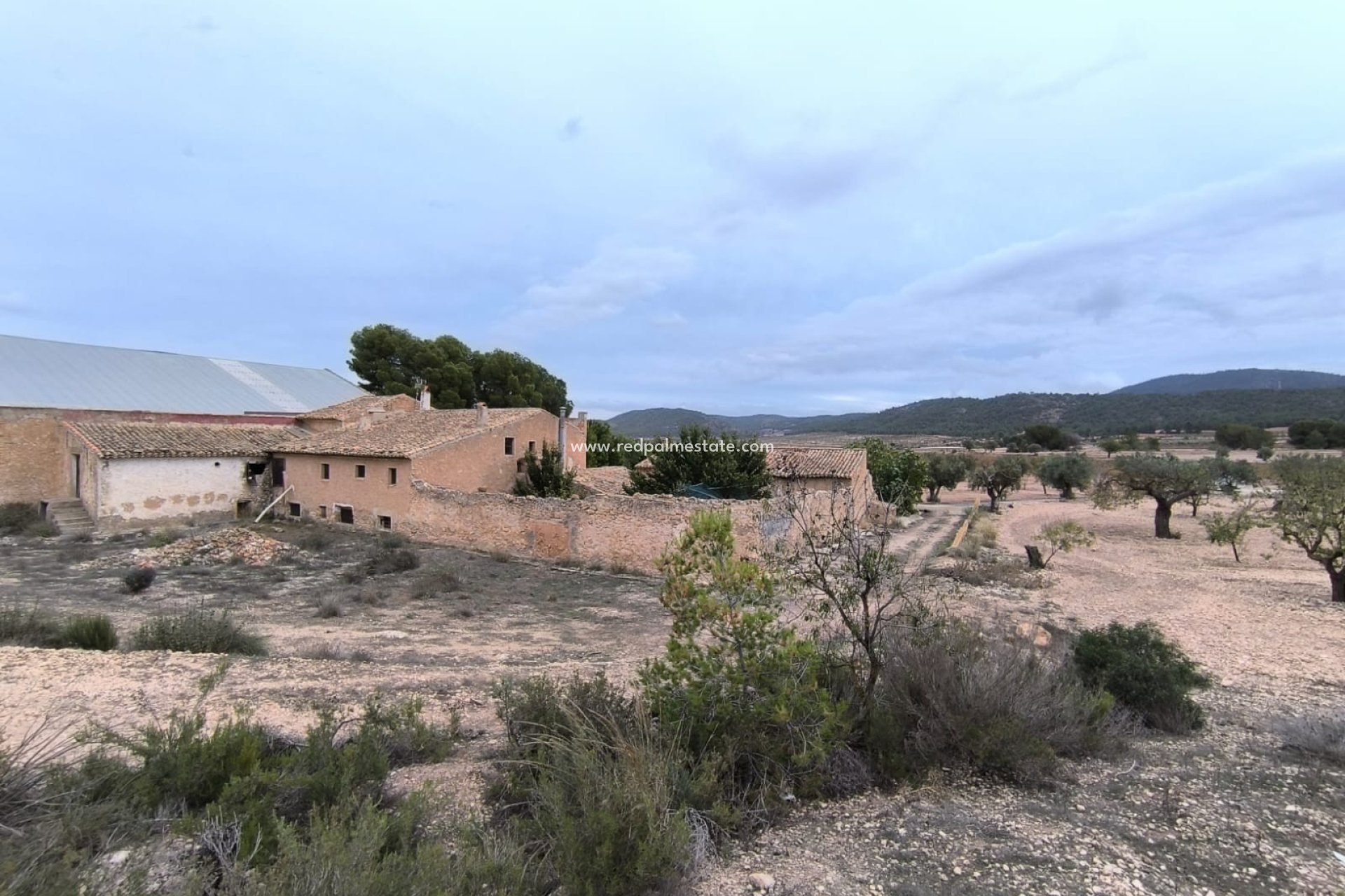 Resale - Finca / Country Property -
Villena - Inland