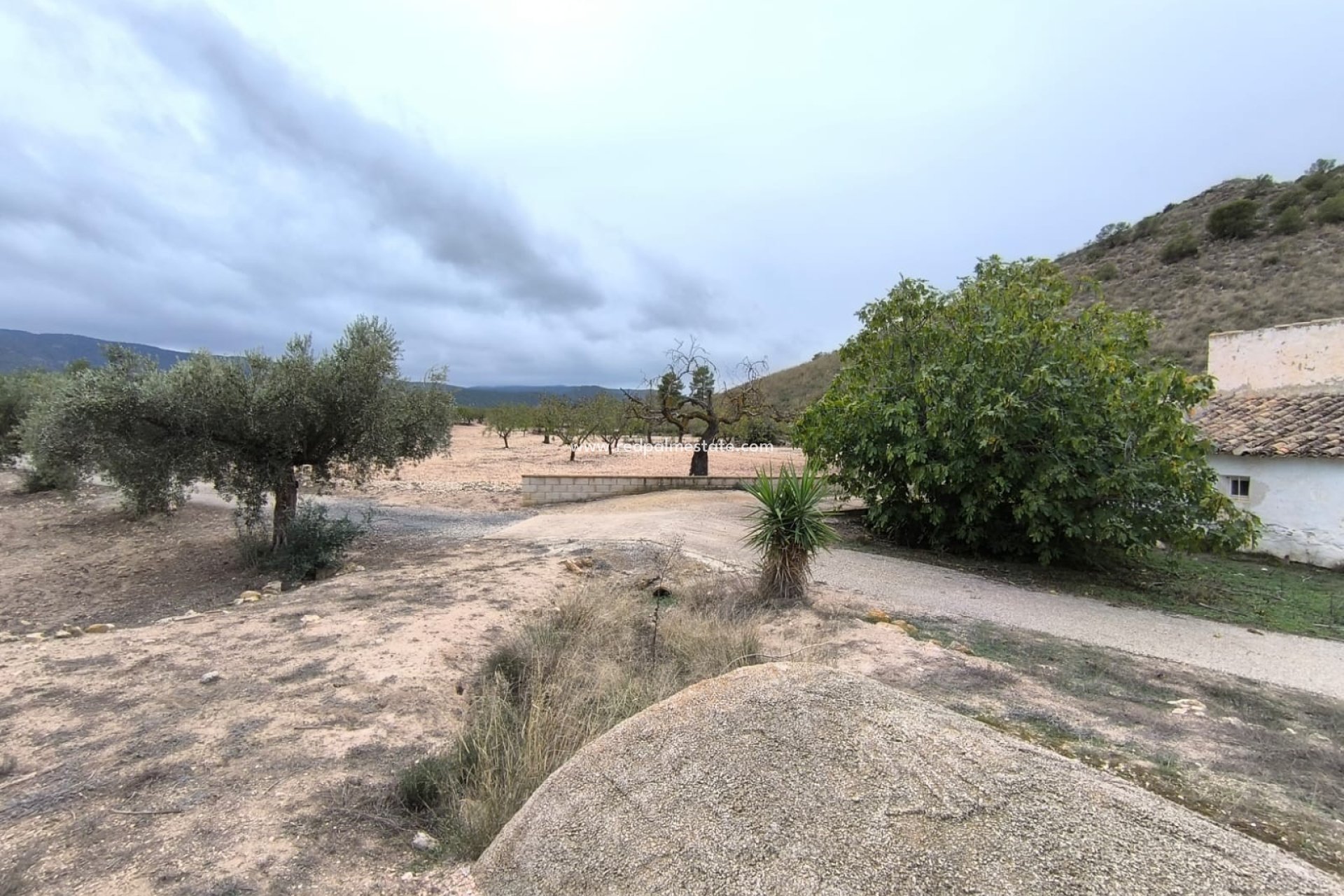 Resale - Finca / Country Property -
Villena - Inland