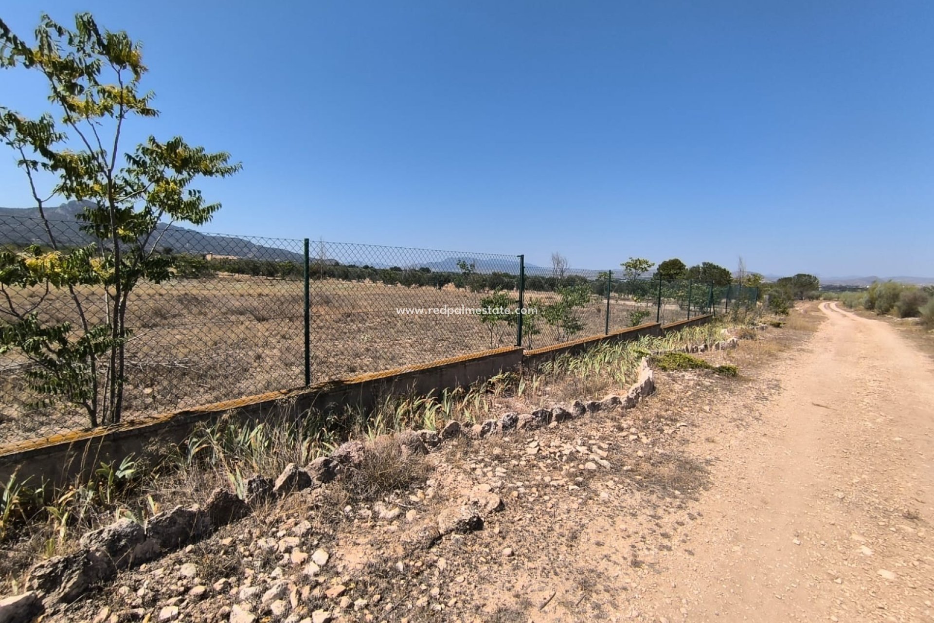 Resale - Finca / Country Property -
Villena - Inland