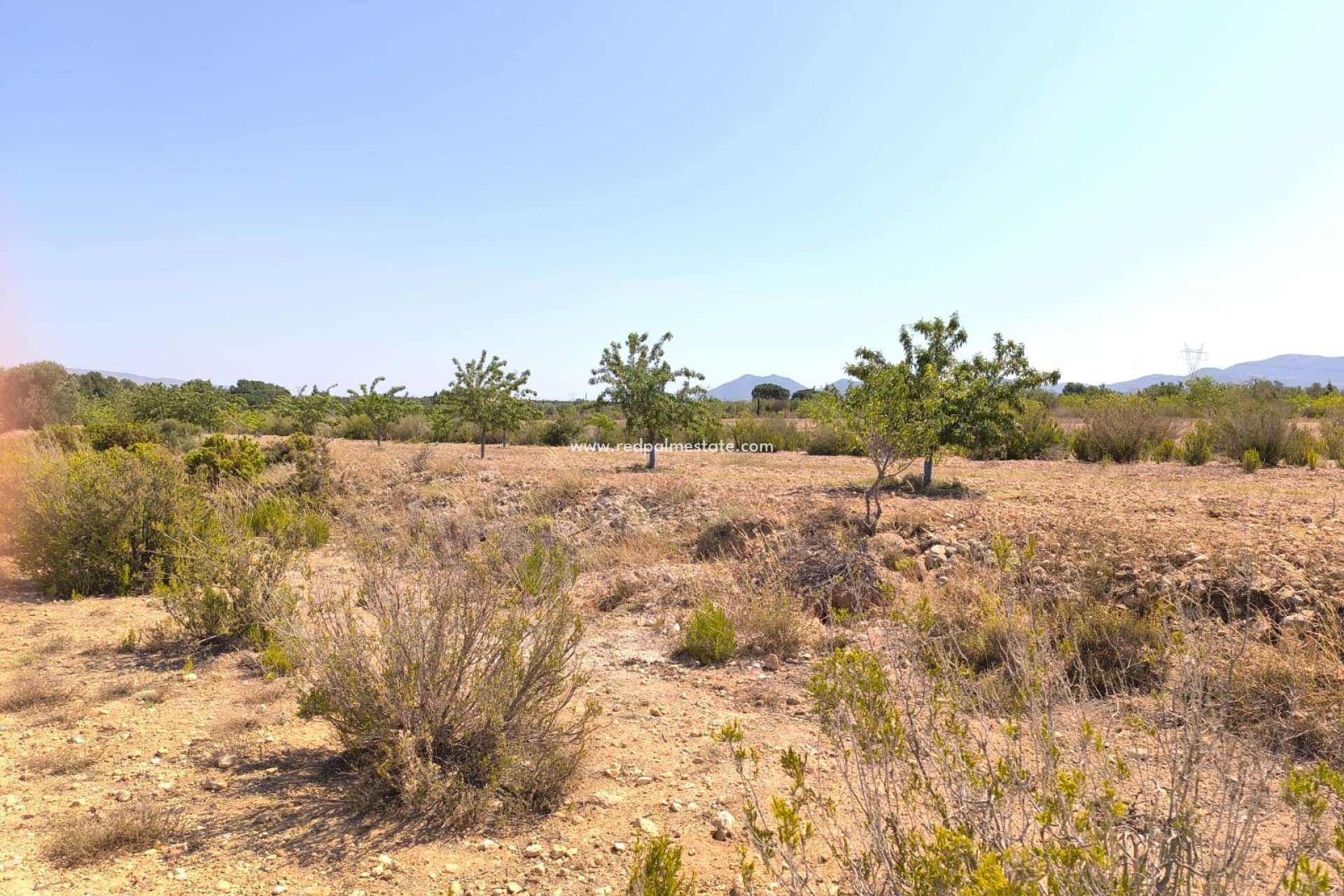 Resale - Finca / Country Property -
Villena - Inland