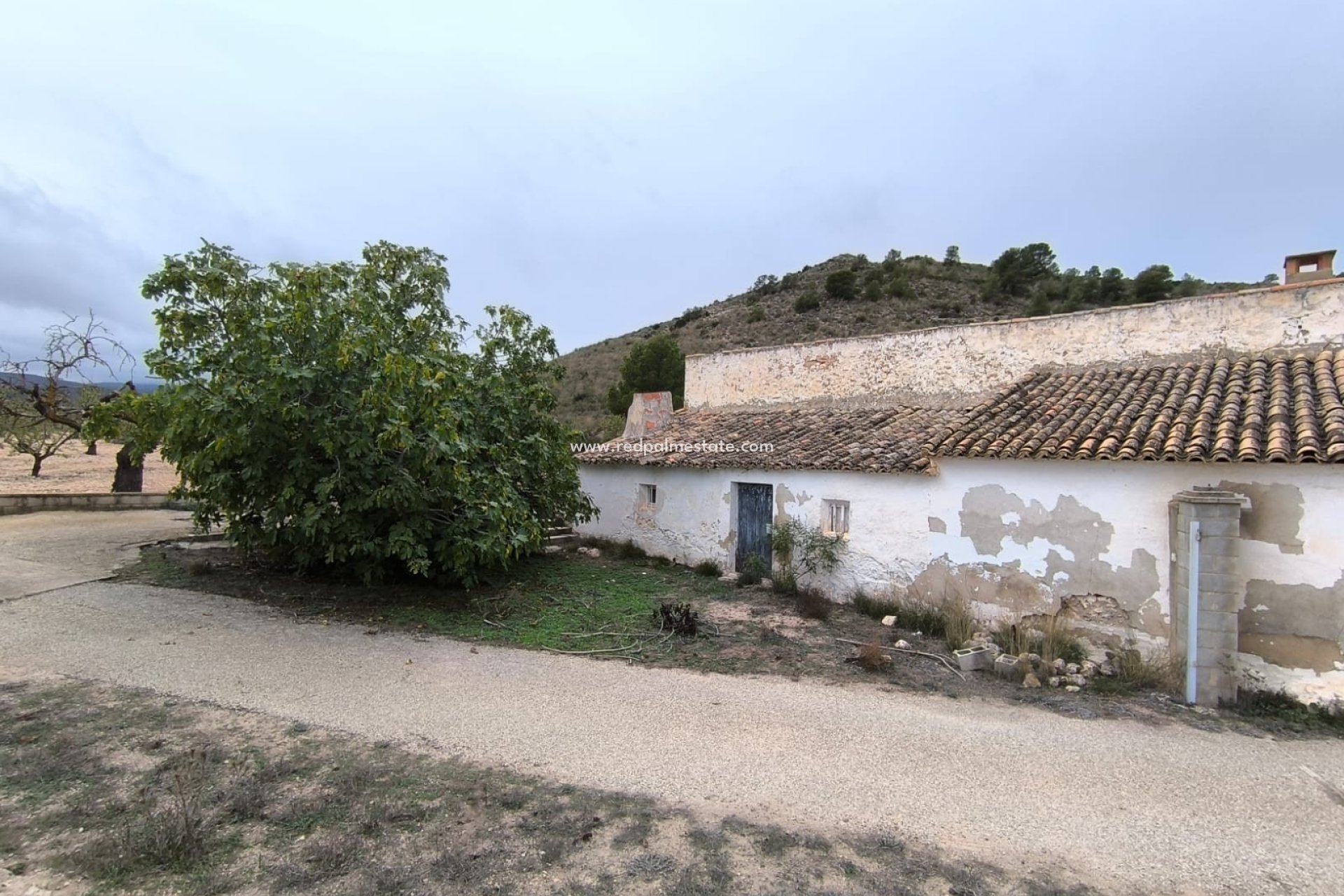 Resale - Finca / Country Property -
Villena - Inland