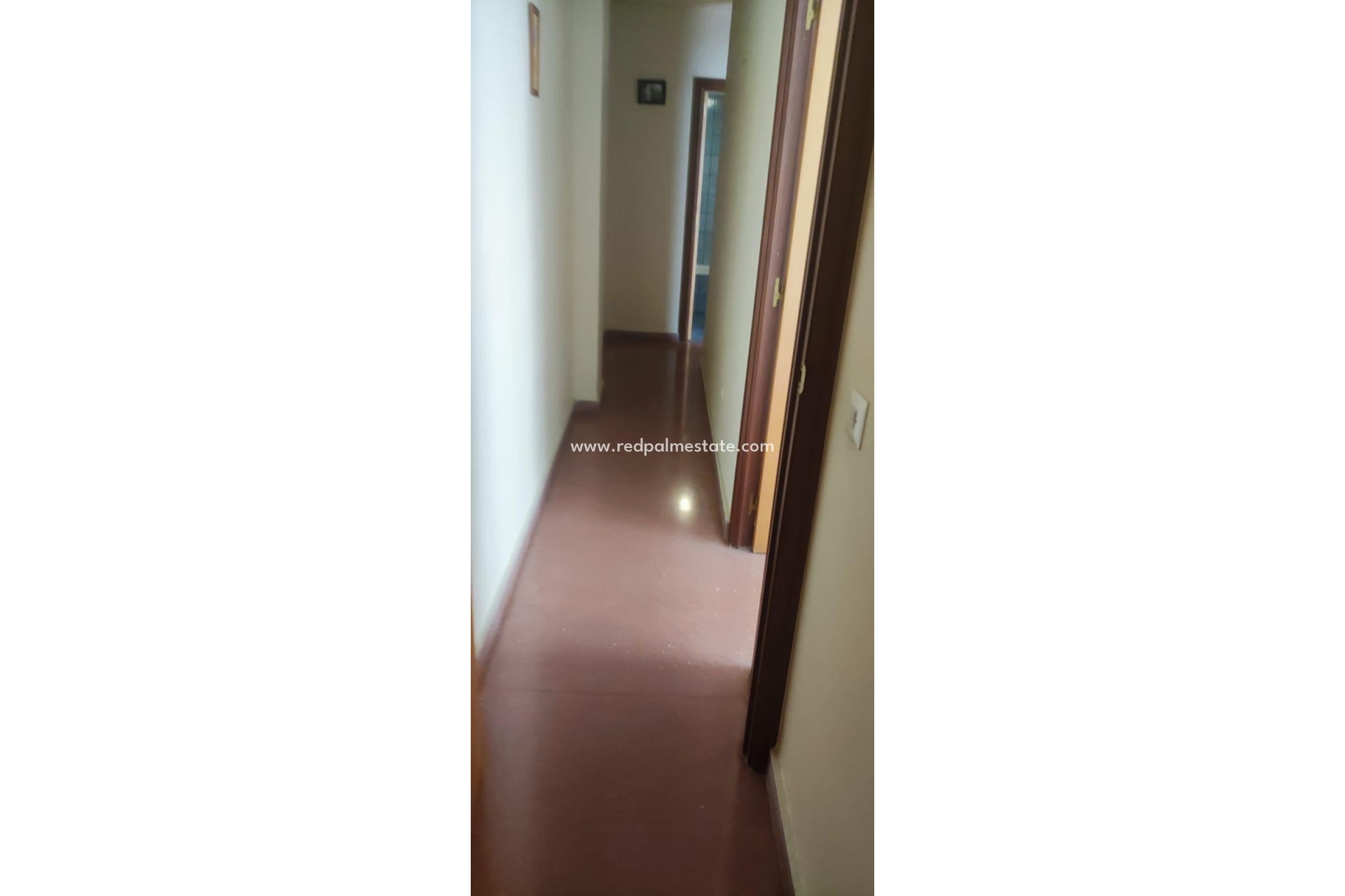 Resale - Flat -
Almoradi - ALMORADI-CENTRO