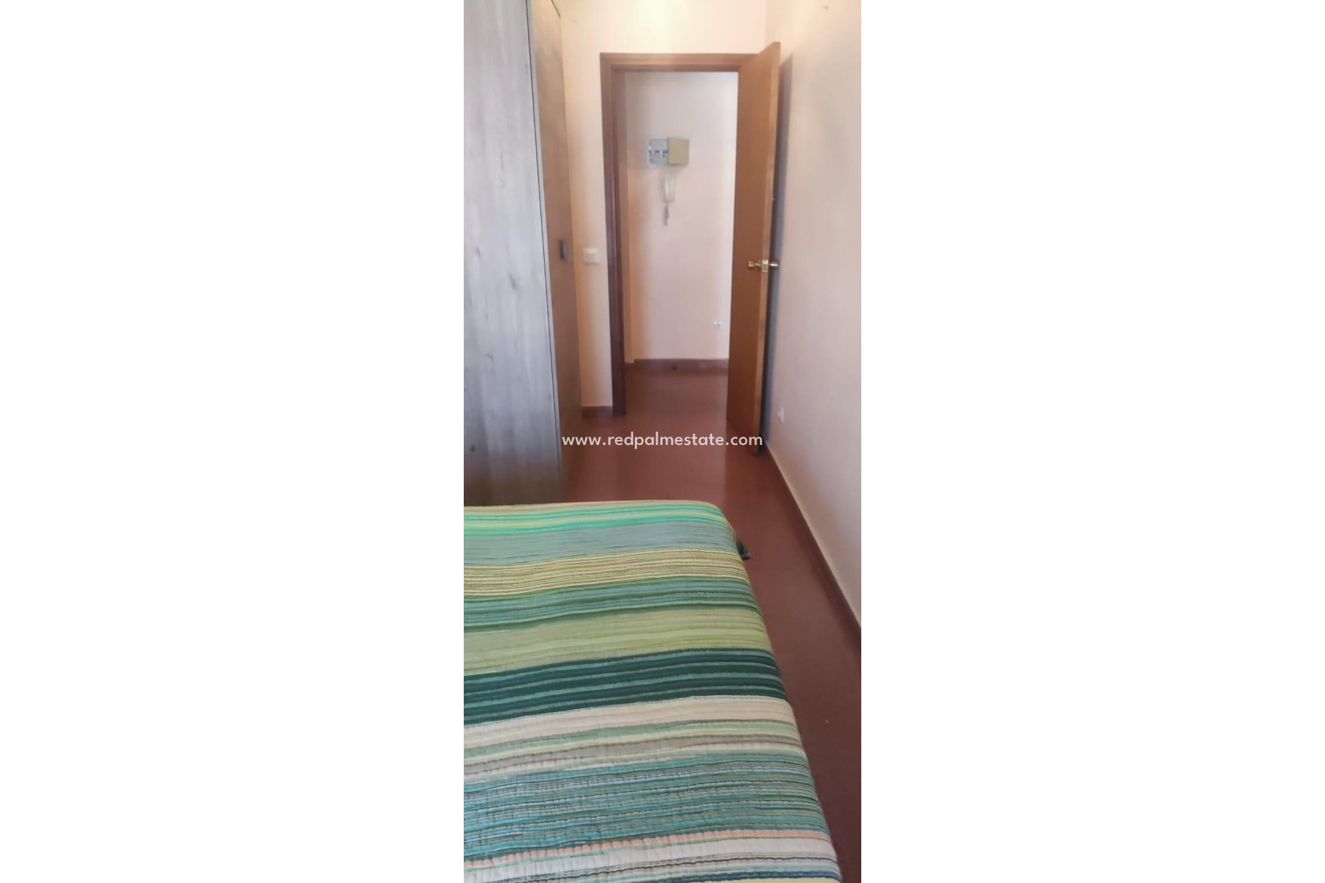 Resale - Flat -
Almoradi - ALMORADI-CENTRO