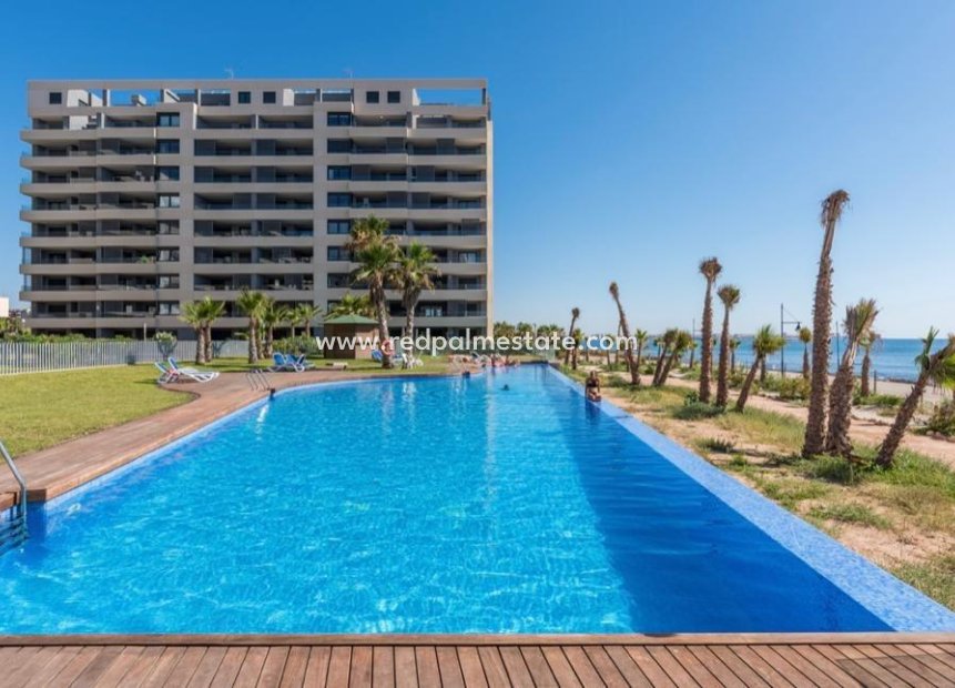 Resale - Flat -
Torrevieja - Punta Prima