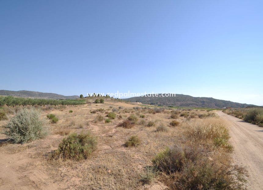 Resale - Land -
Pinoso - Inland