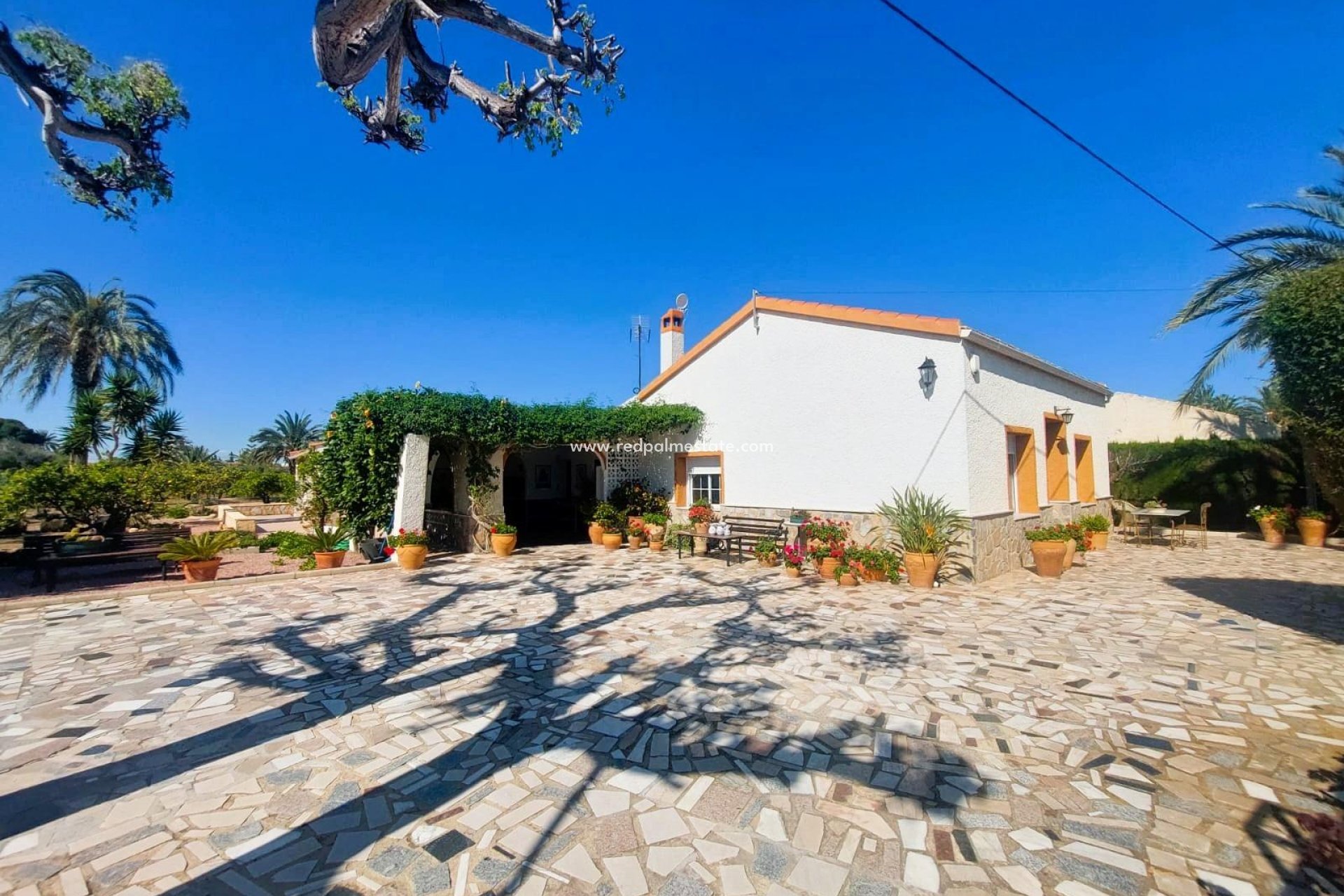 Resale - Masia -
La Marina
